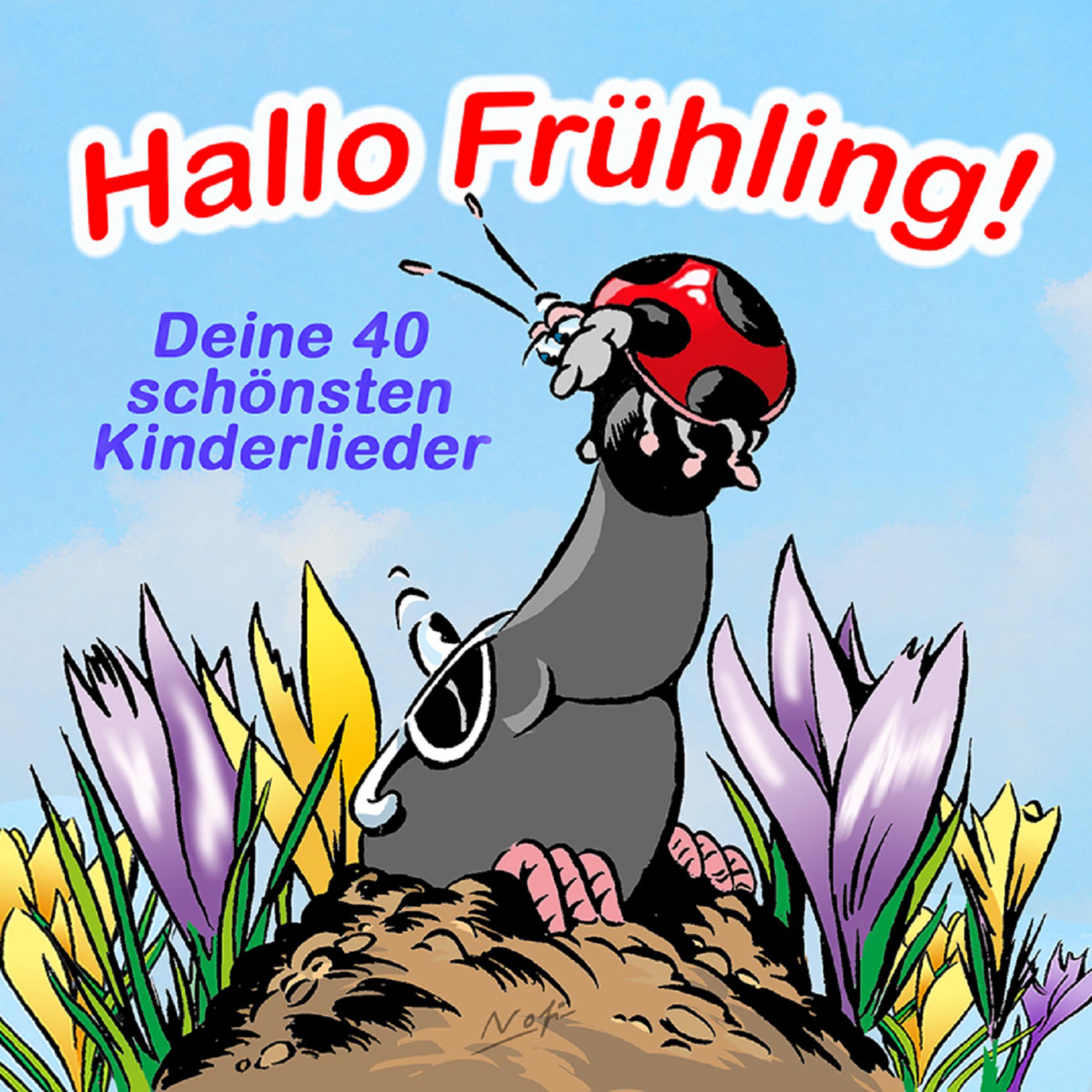 Hallo Frühling! - Deine 40 schönsten Kinderlieder