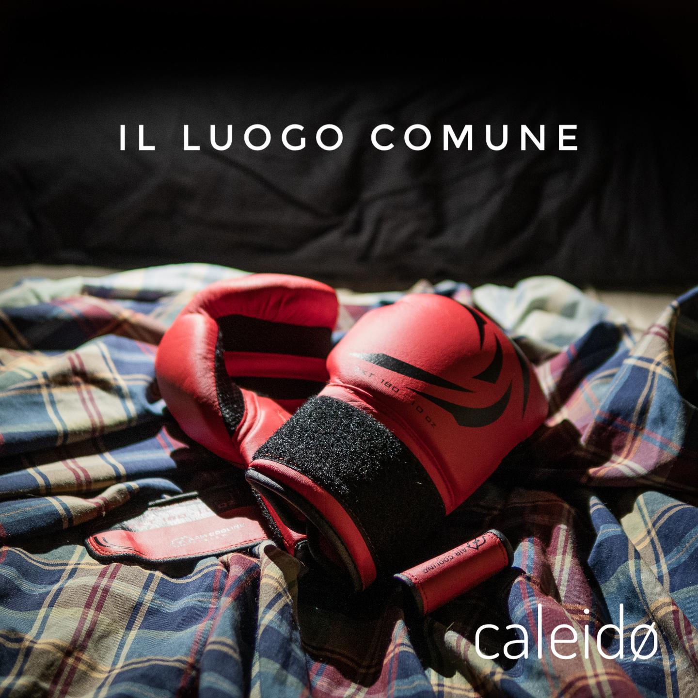 Il luogo comune