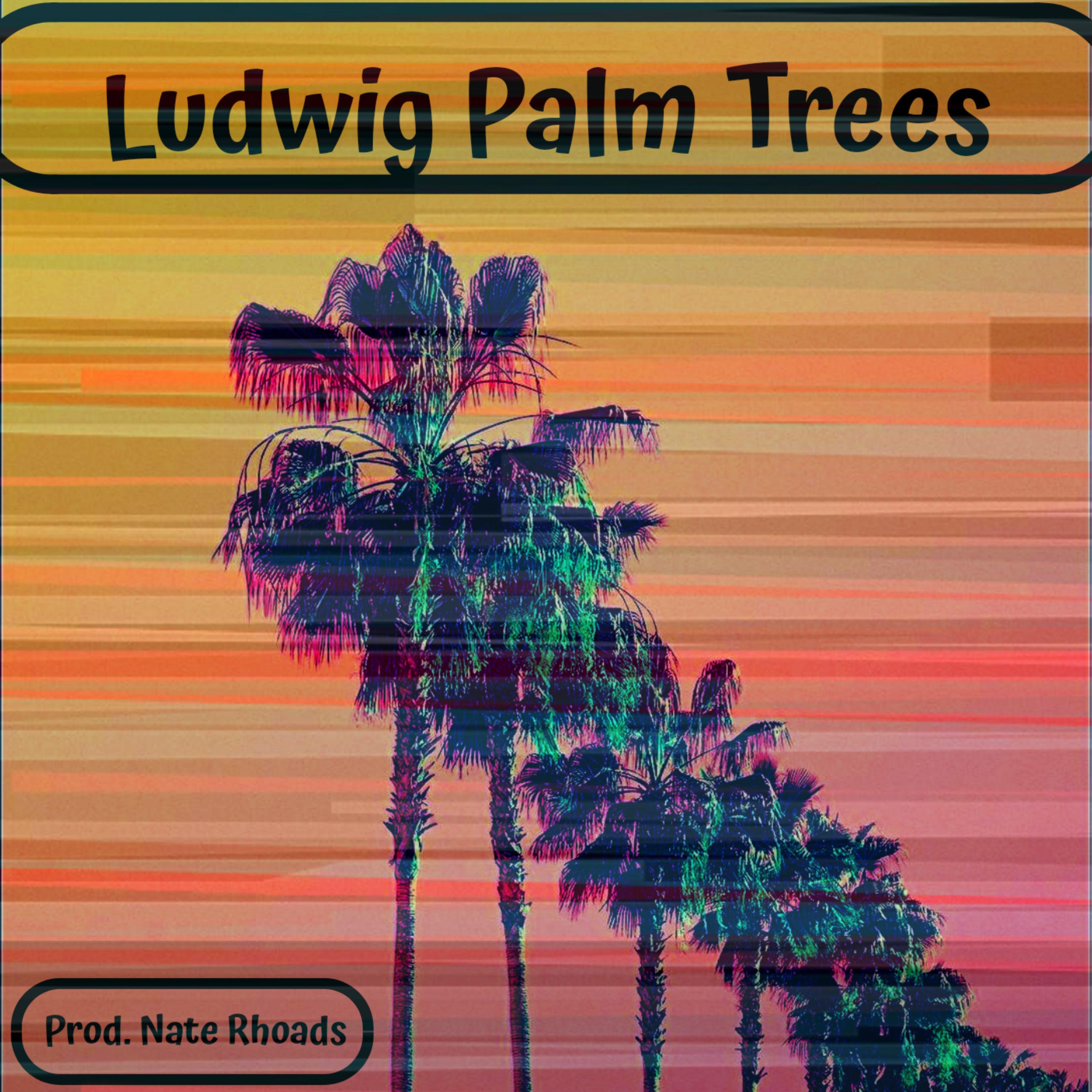 Palm Trees