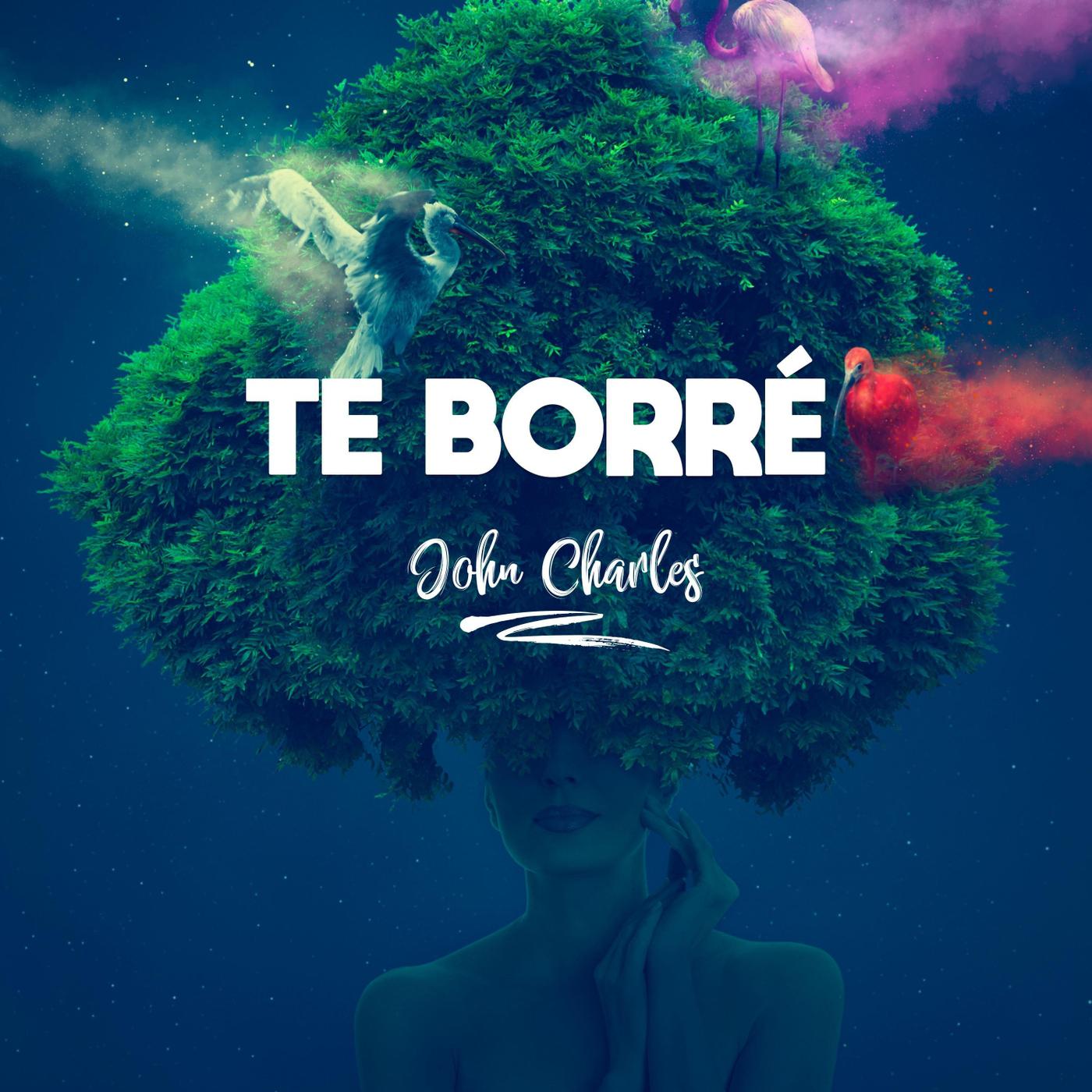 Te Borré