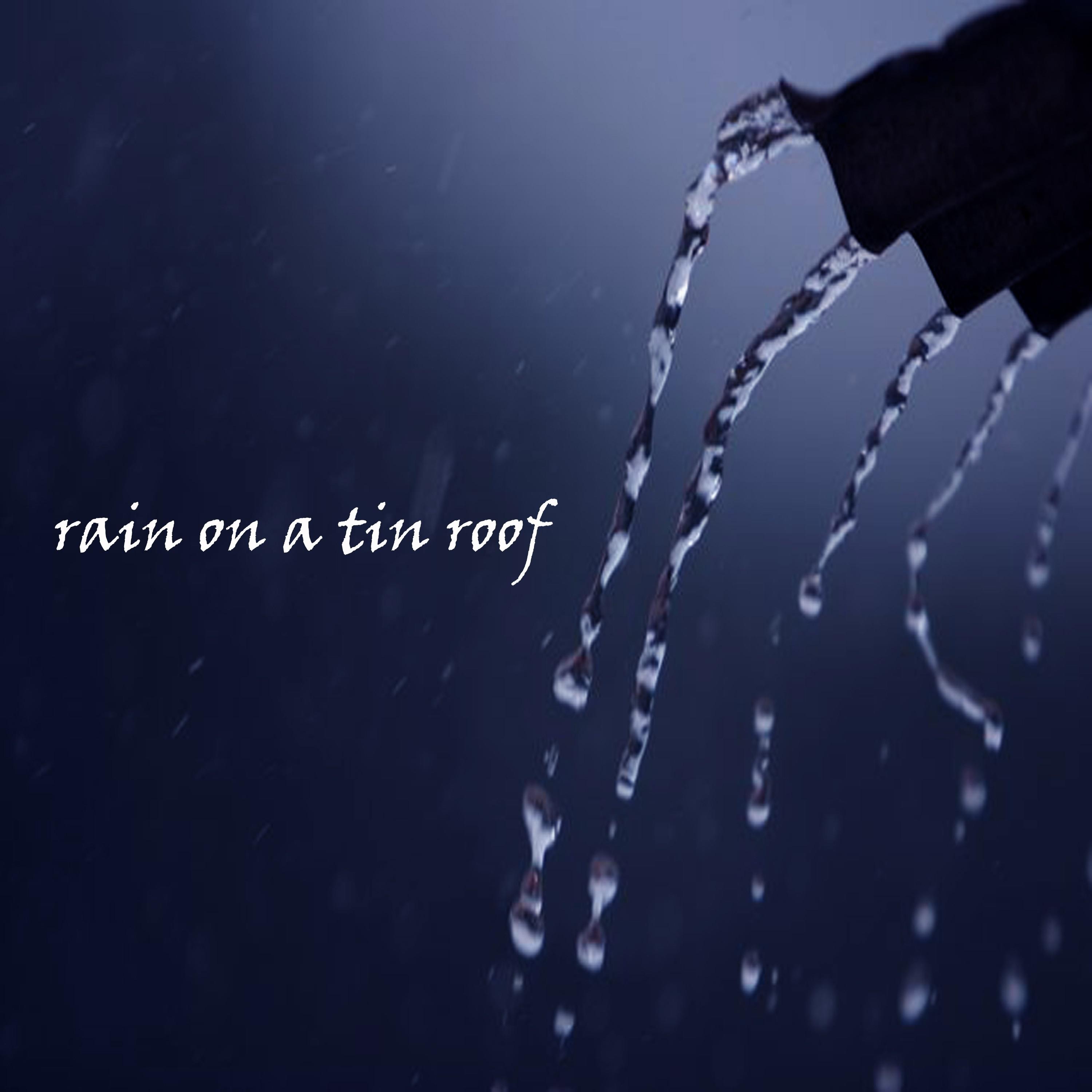 Relaxing Sounds of Rain on a Tin Roof, Pt. 25