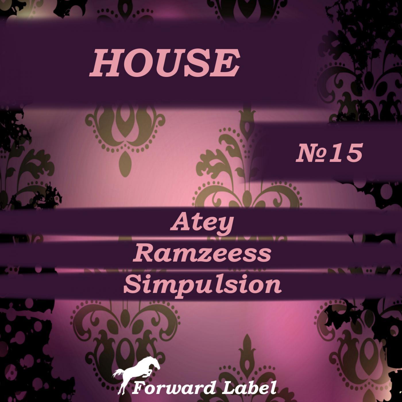 House N.15