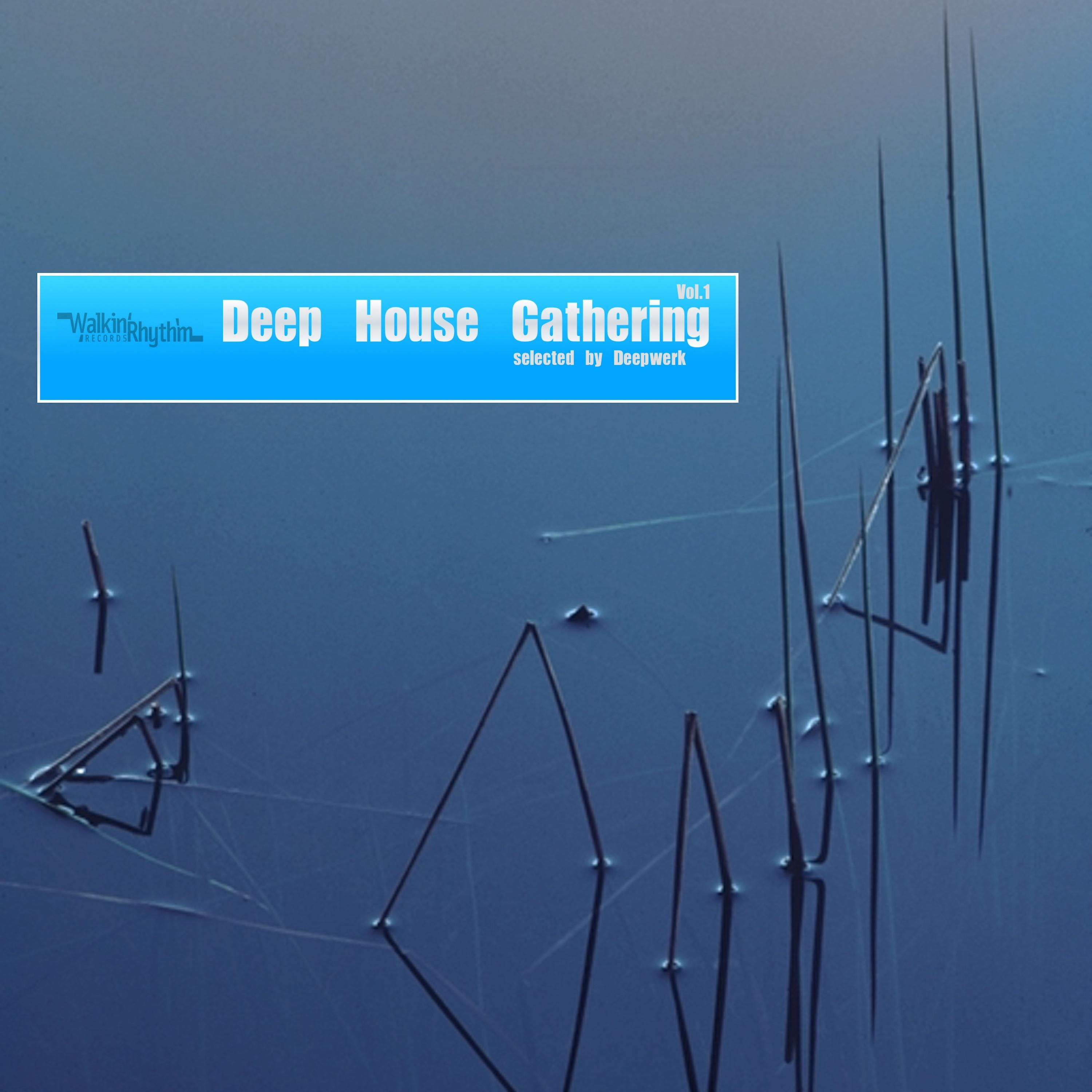 Deep House Gathering (Selected By Deepwerk)