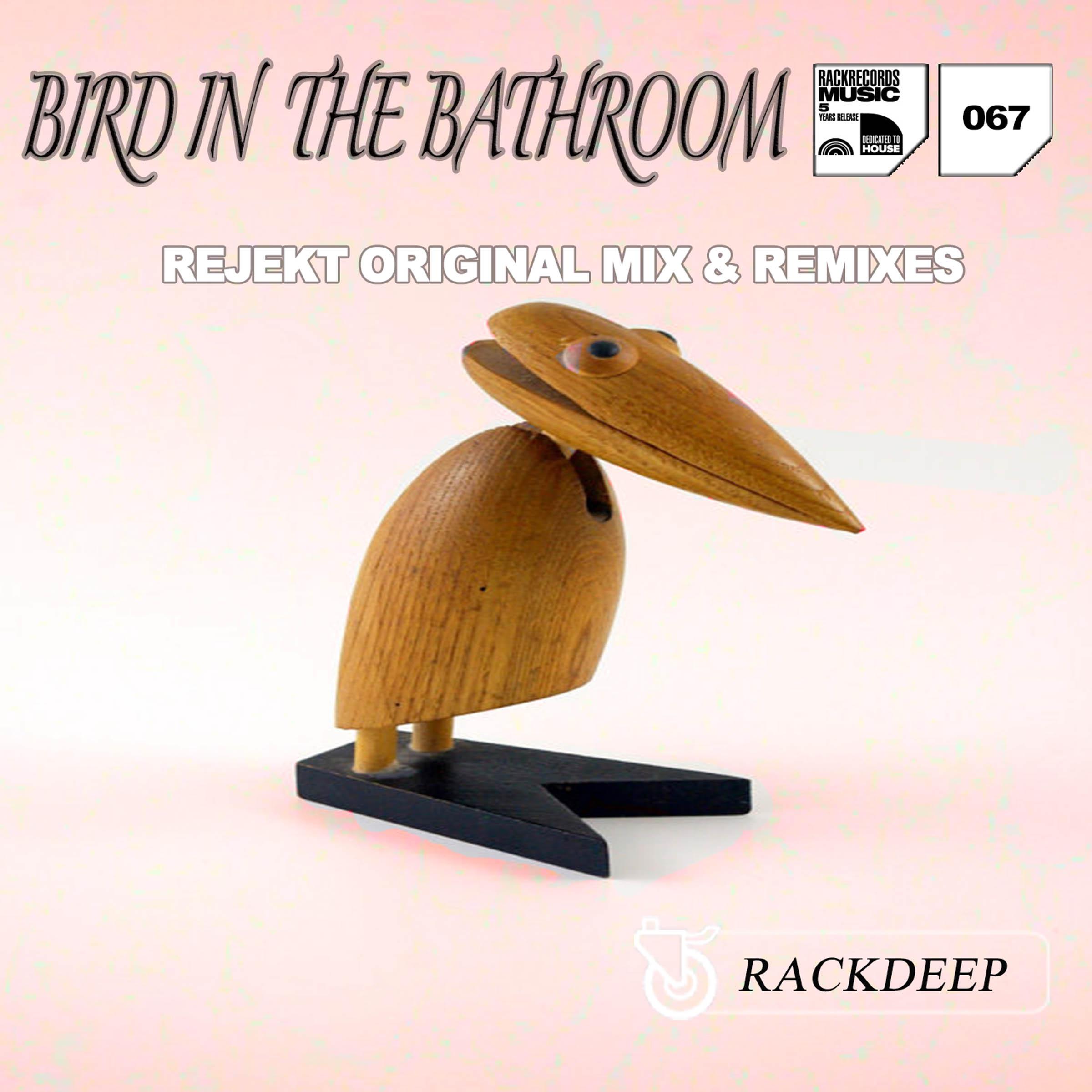 Bird in the Bathroom