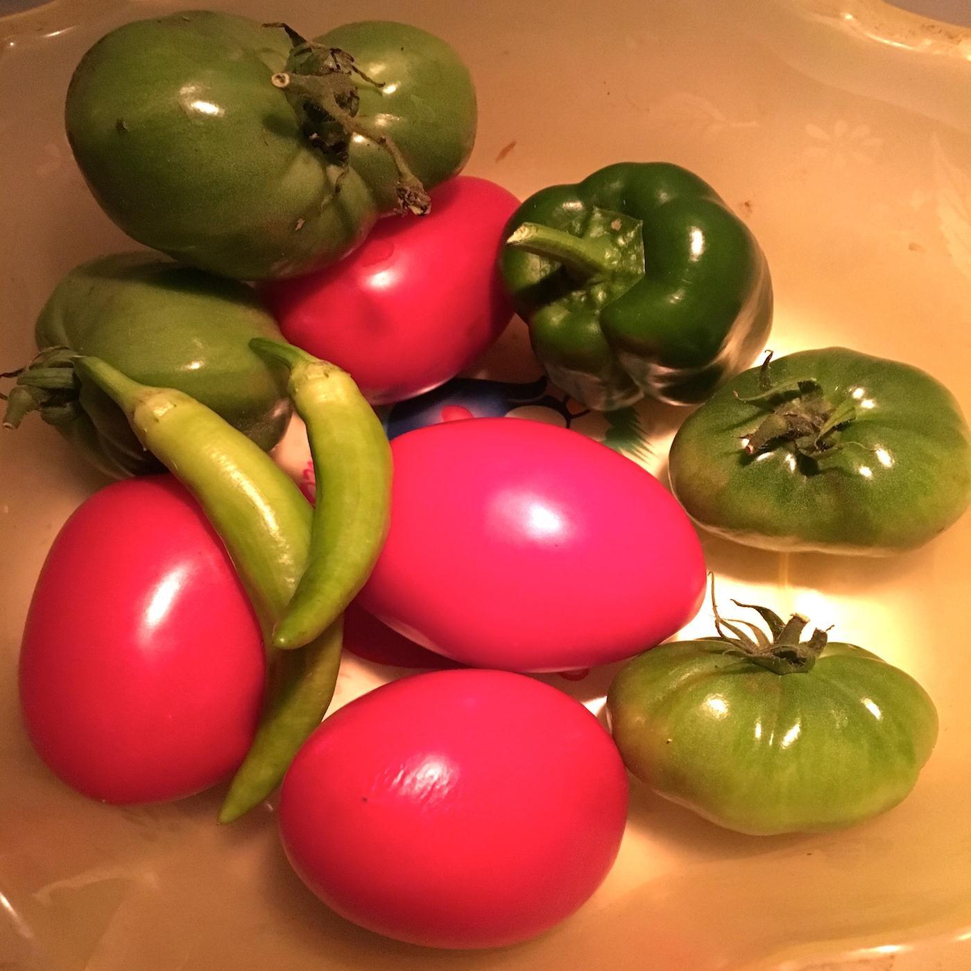 Last Harvest (Okra 6)