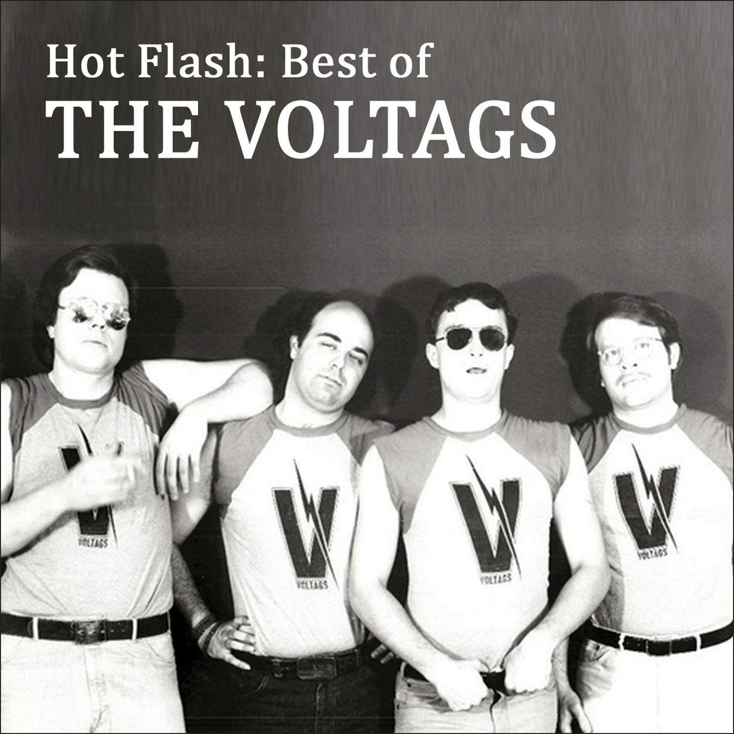 Hot Flash: The Best of The Voltags