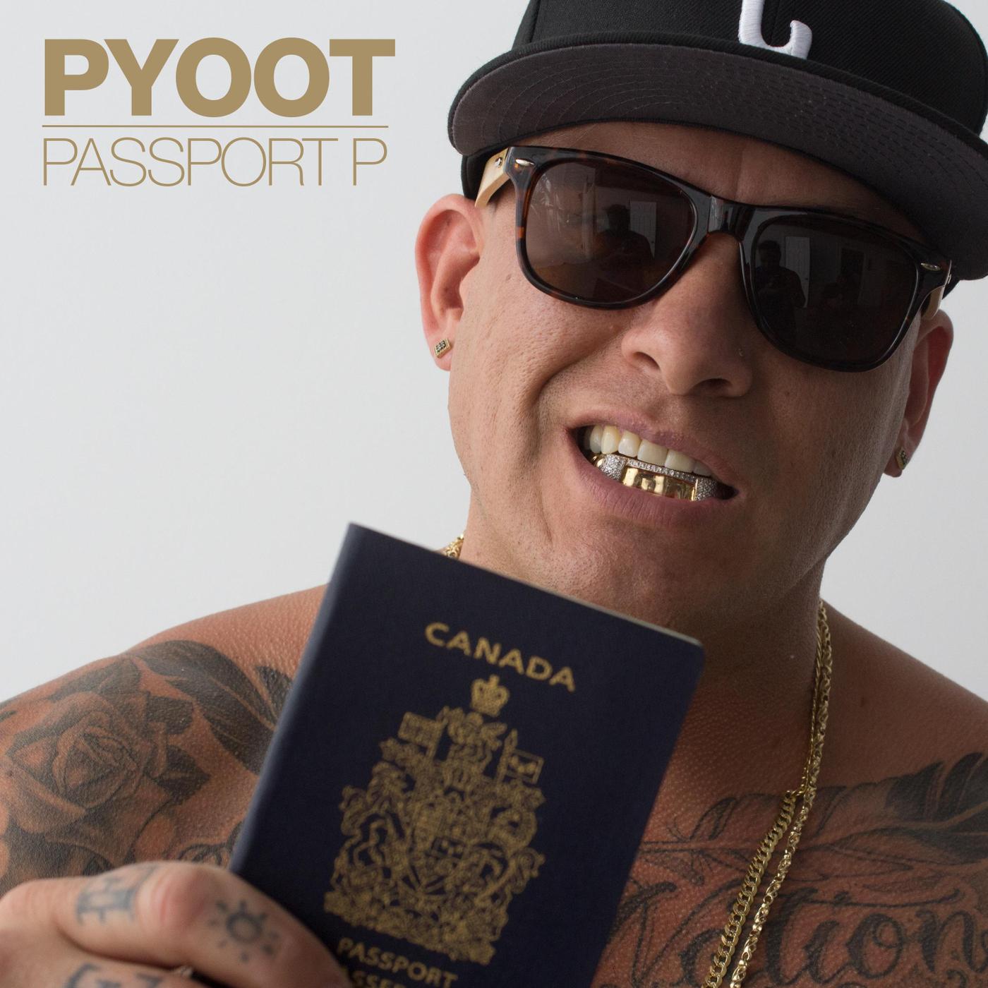 Passport P