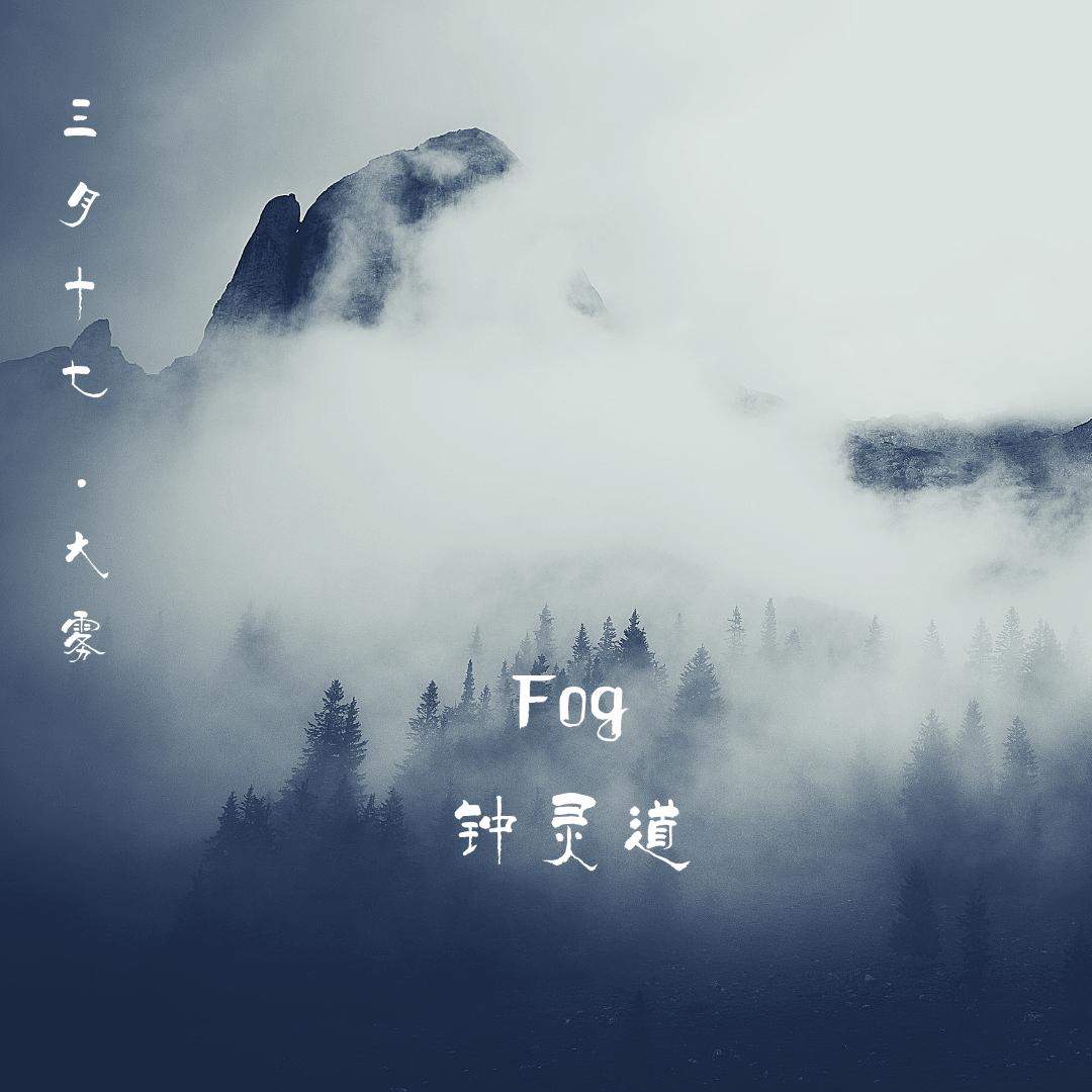 Fog（雾）