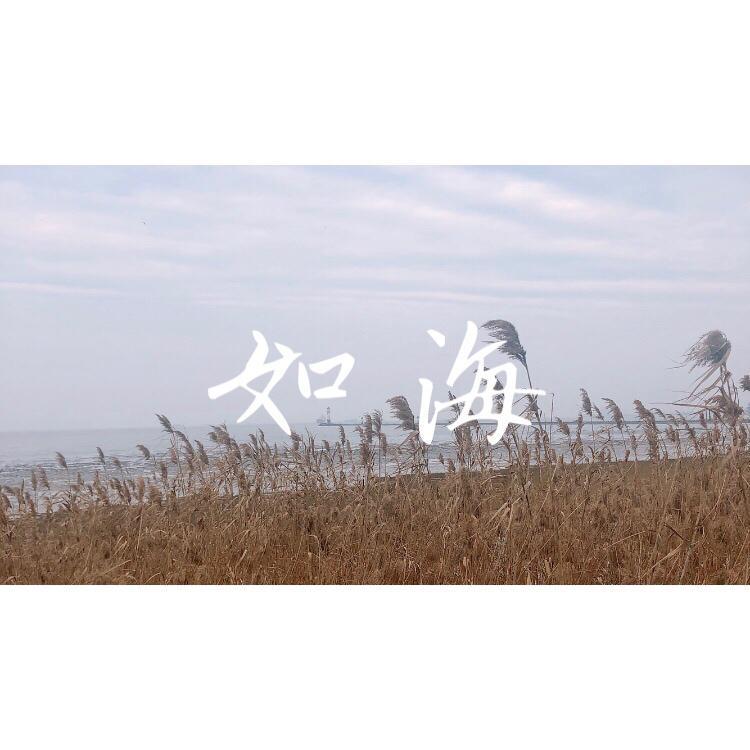 如海demo