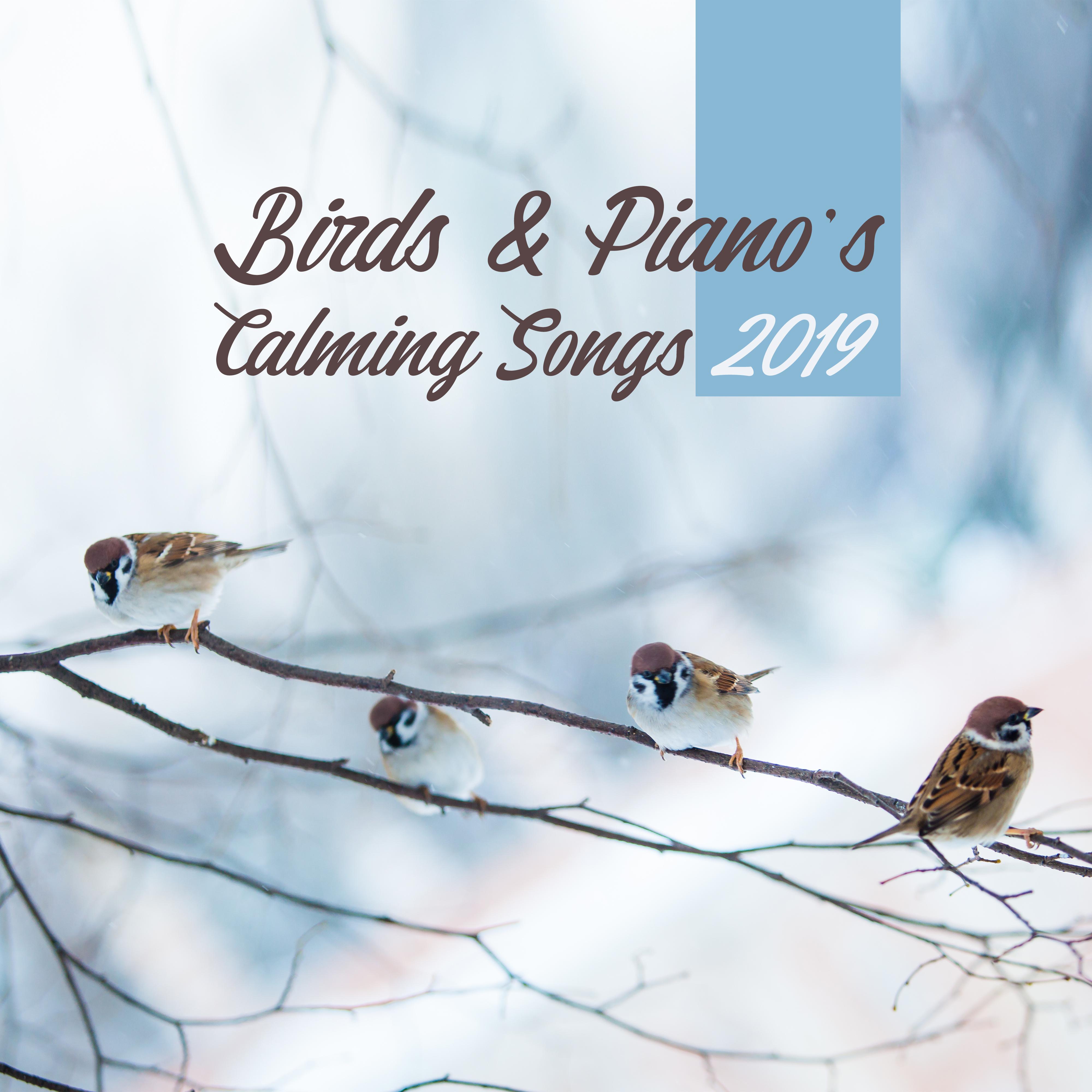 Birds & Piano's Calming Songs 2019: 15 New Age Smooth Tracks with Birds & Piano Sounds, Perfect Relaxation Music, Nature Soothing Melodies