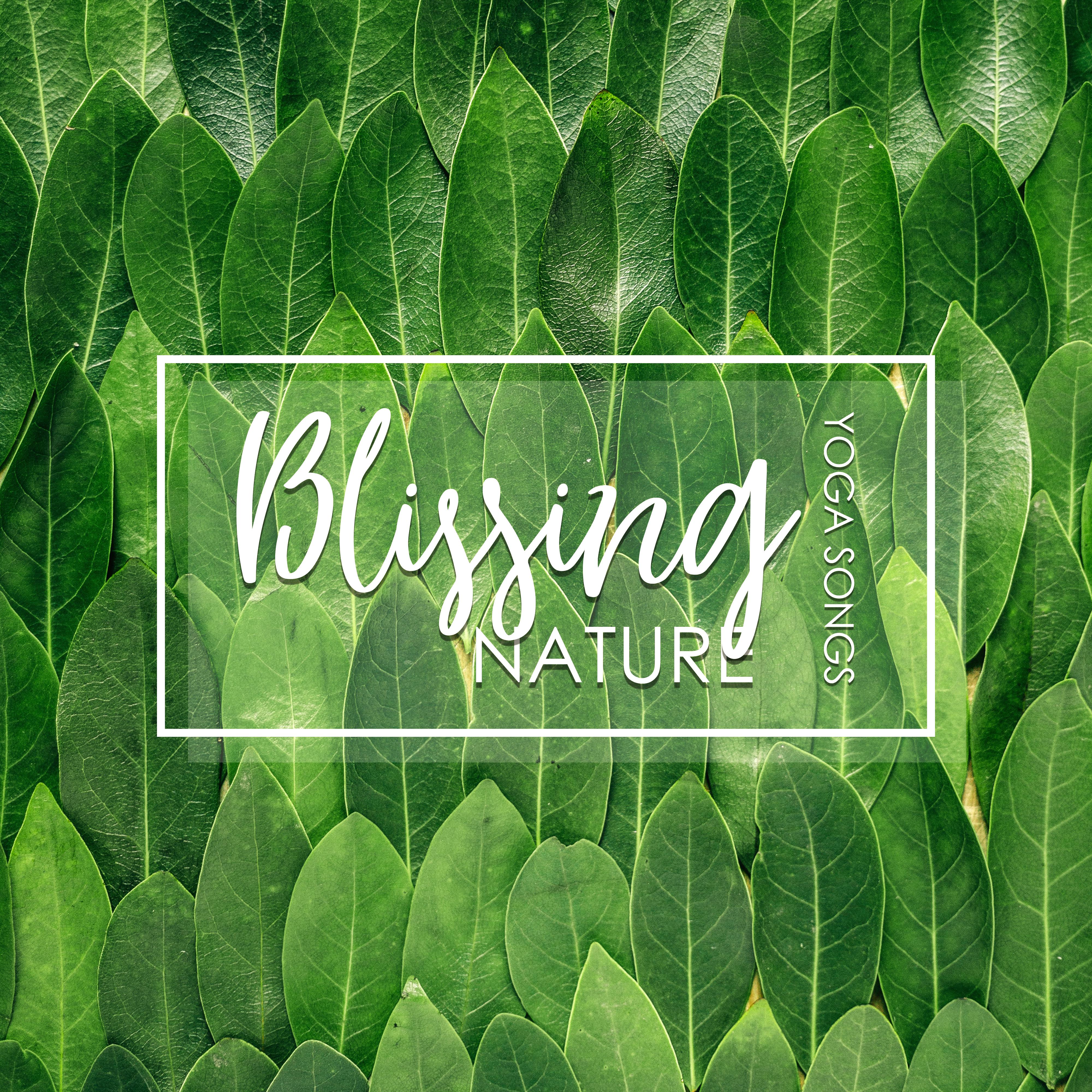 Blissing Nature Yoga Songs: 15 New Age Soft Melodies Perfect for Deep Meditation & Relaxation, Healing Deep Sounds, Inner Zen, New Music 2019