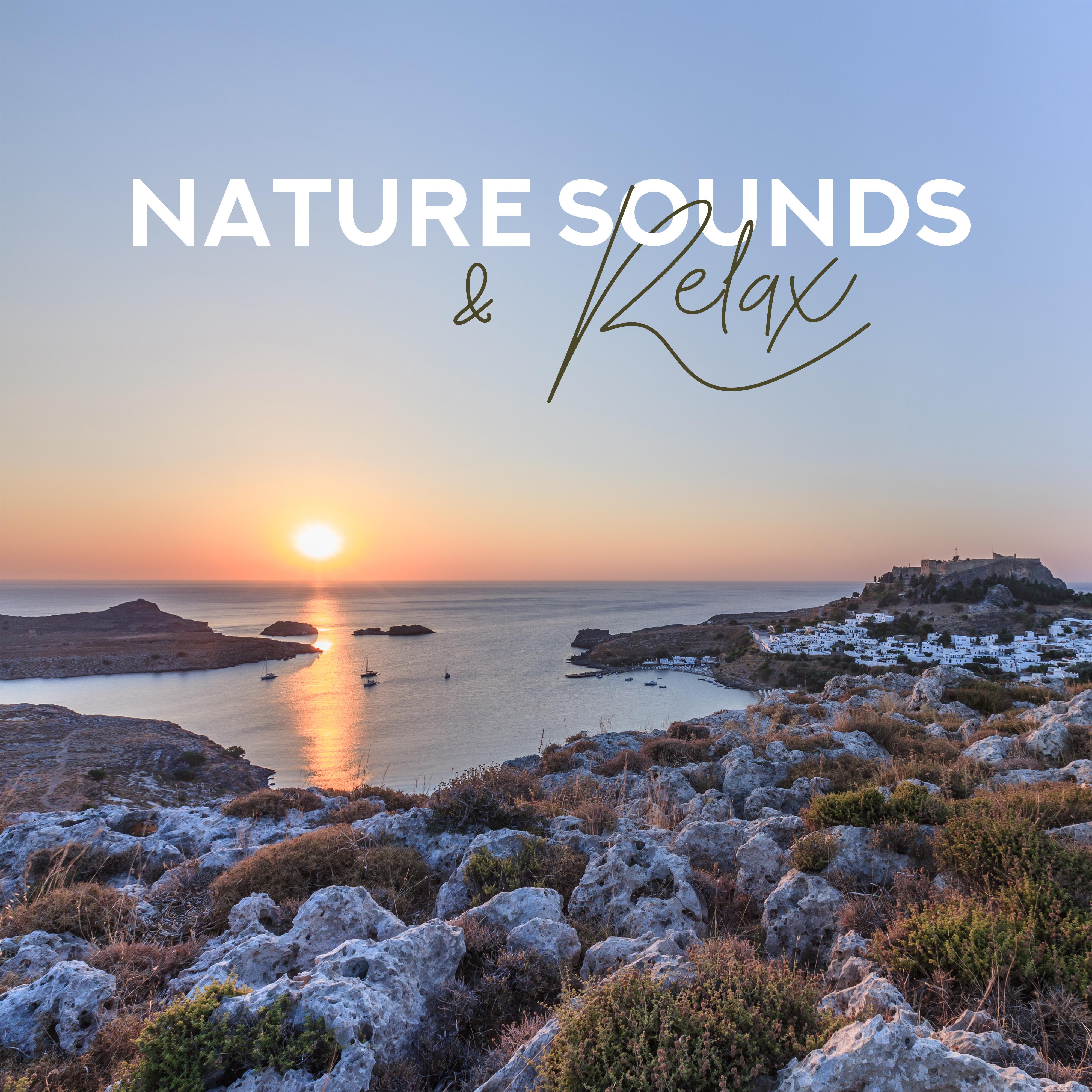 Nature Sounds & Relax – Relaxing Music Therapy, Deep Harmony, Nature Music, Calm Down, Zen Lounge
