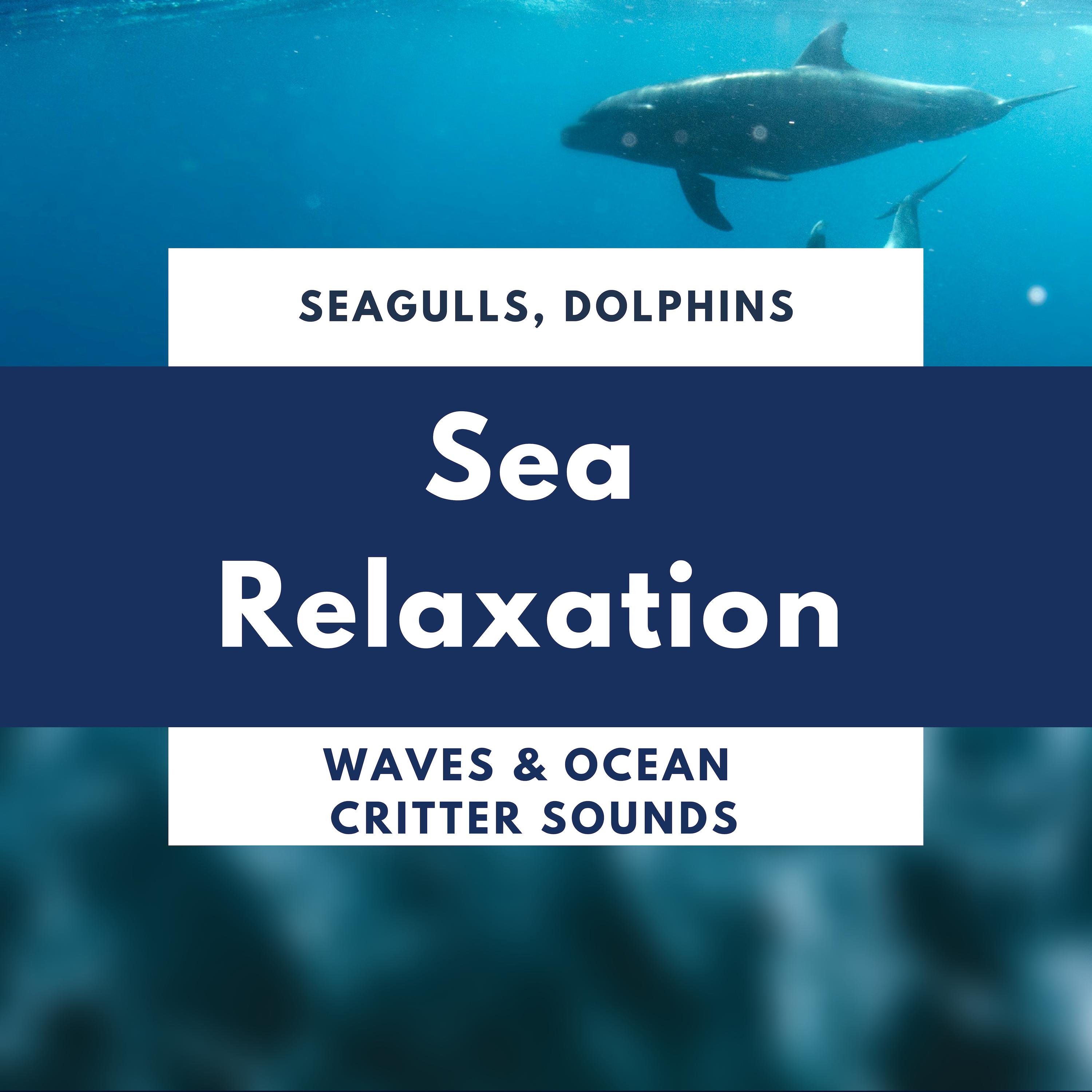 Sea Relaxation