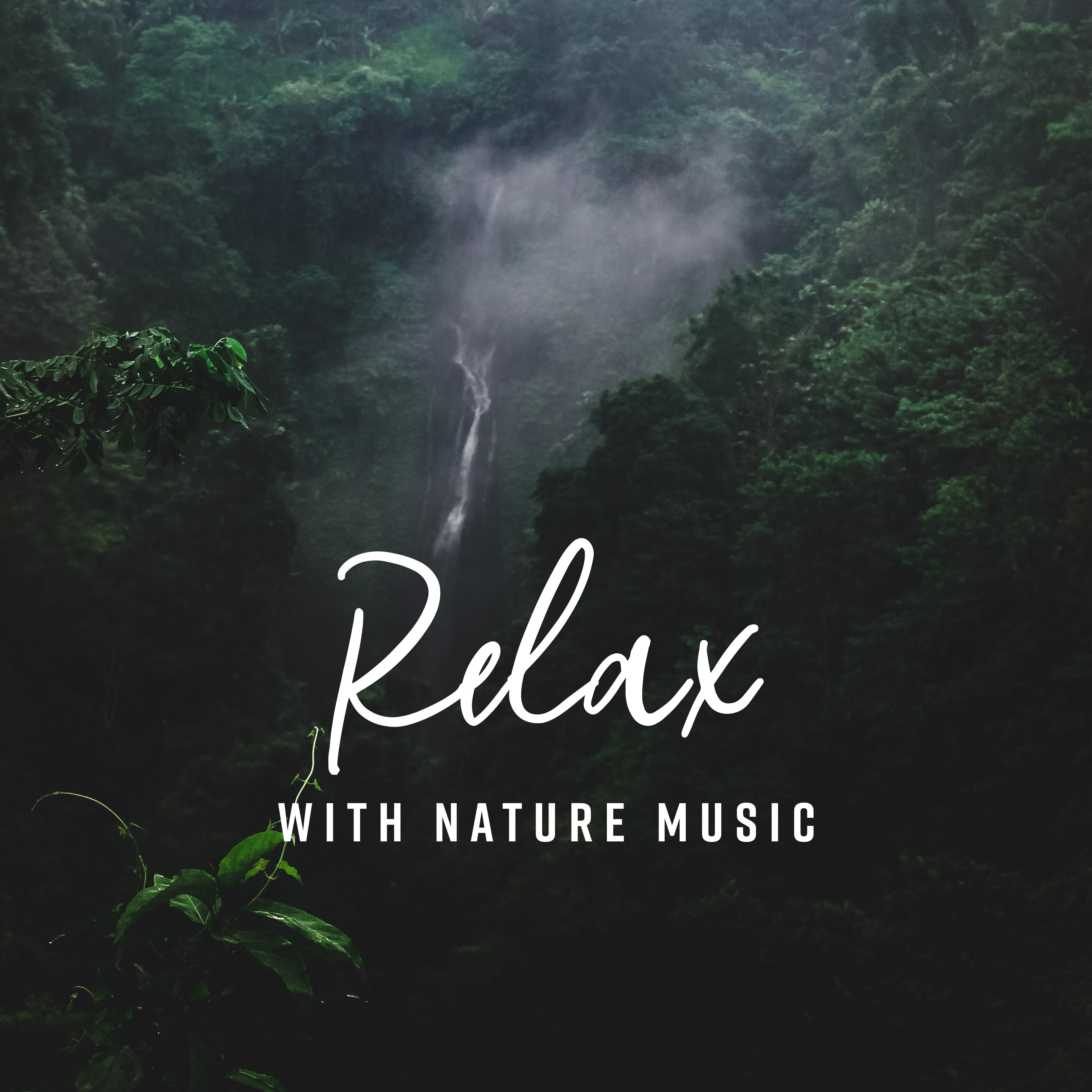 Relax with Nature Music – Relaxing Music Therapy, Stress Relief, 15 Nature Sounds for Sleep, Inner Balance, Full Concentration, Zen, Sounds of Nature
