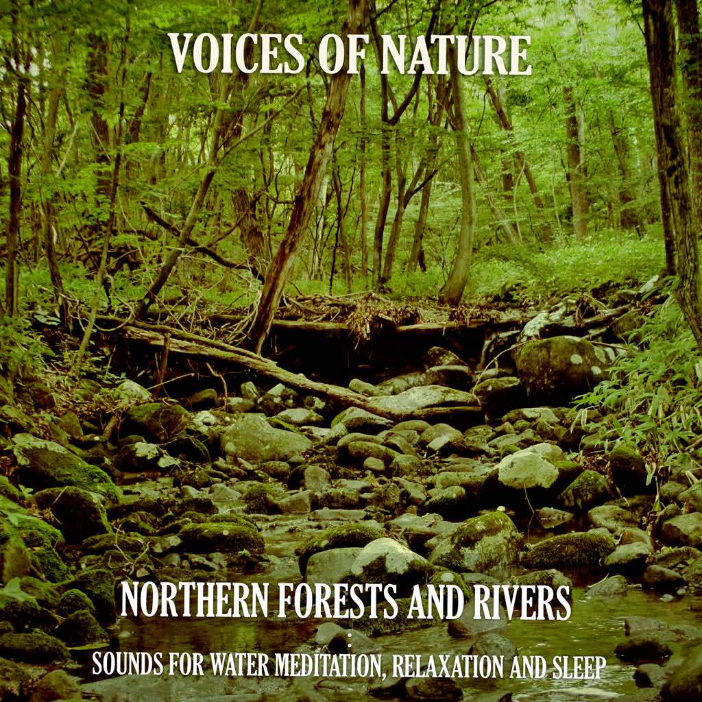 Northern Forests and Rivers : Blizzard by the Brook