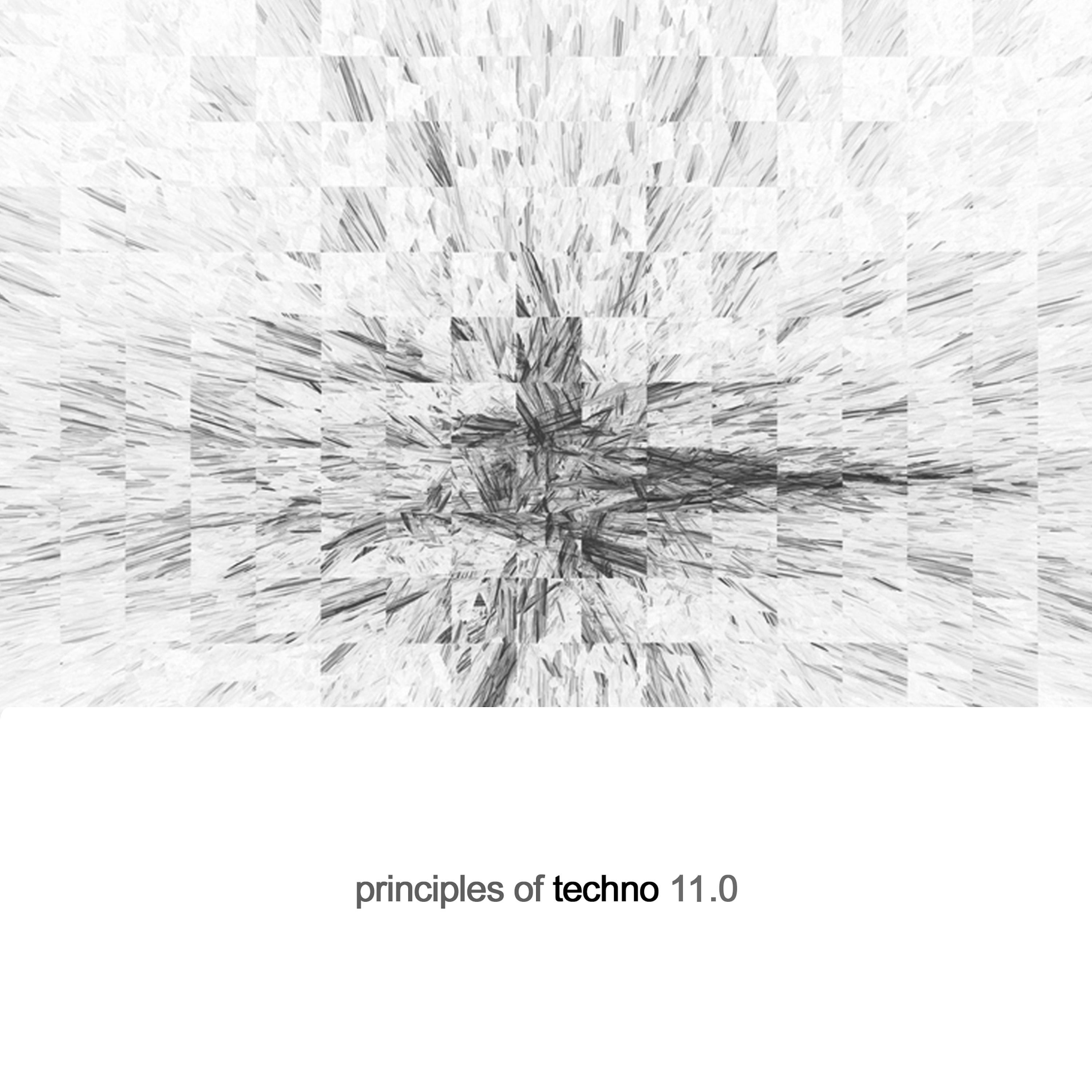 Principles of Techno, Vol. 11