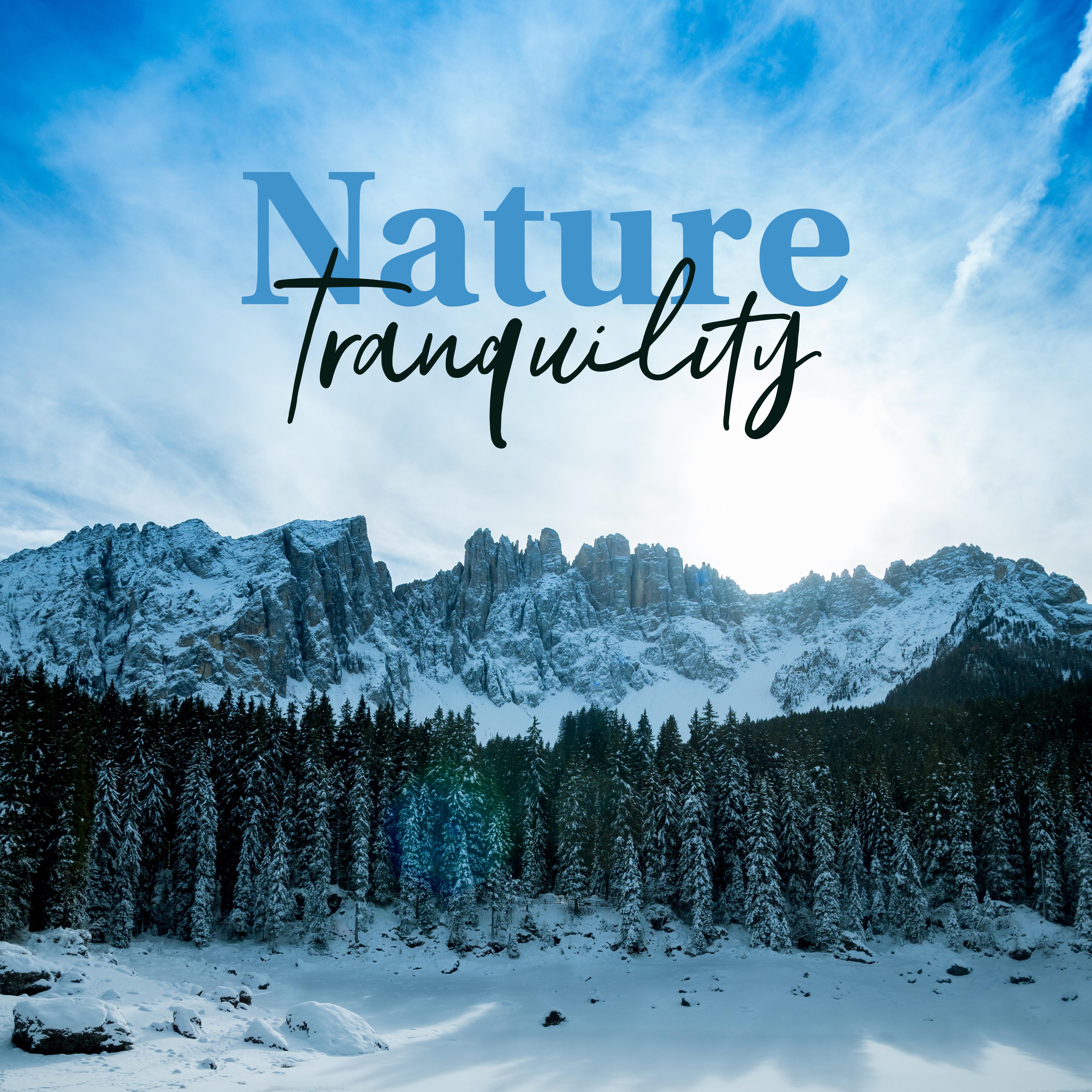 Nature Tranquility: Soothing Sounds of Nature, Gentle New Age Melodies, Spa Tunes, Stress Relief and Serenity, Internal Harmony and Emotional Balance