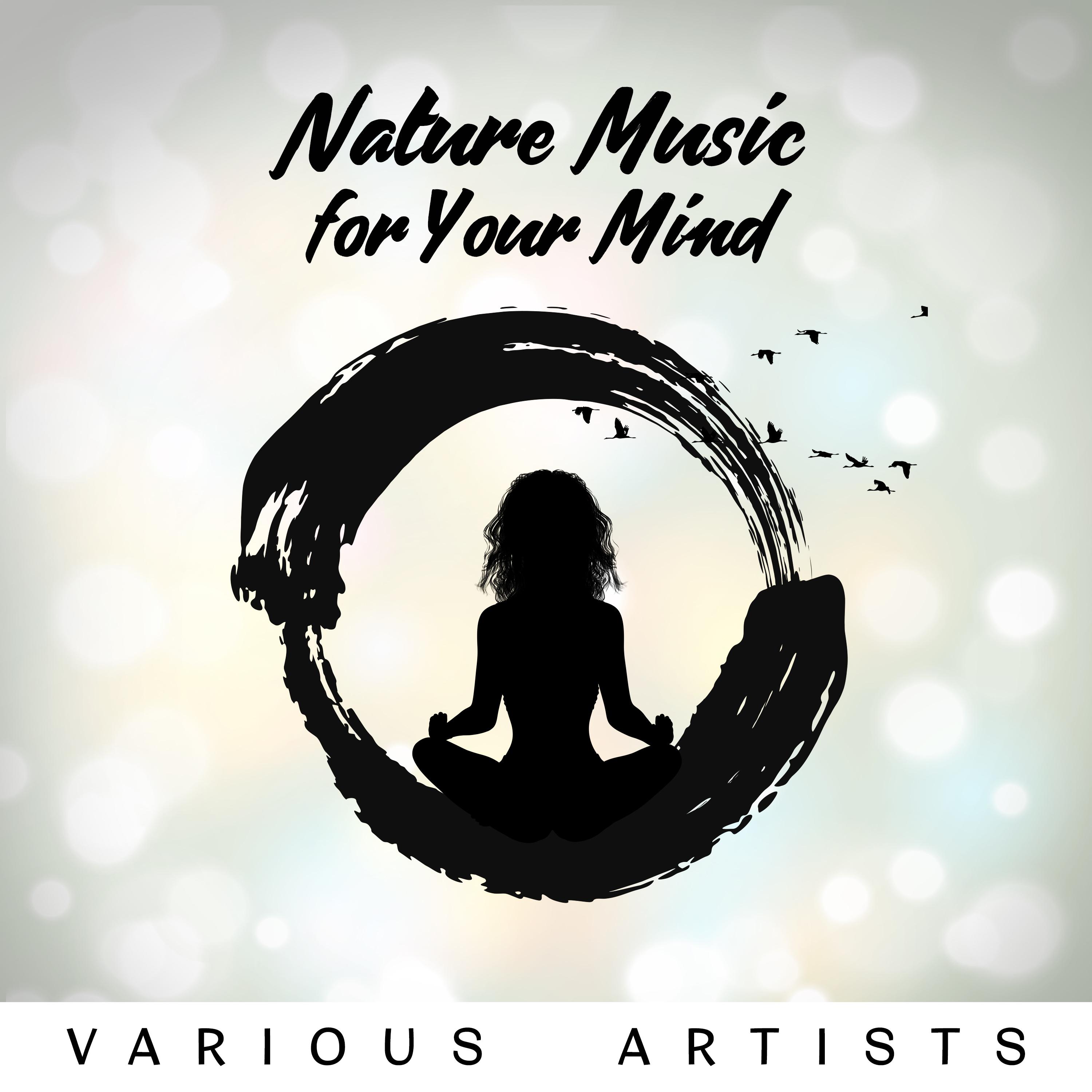 Nature Music for Your Mind – Soothing Therapy Sounds, Relaxation for Your Body and Soul, De-stressing and Releasing Thoughts