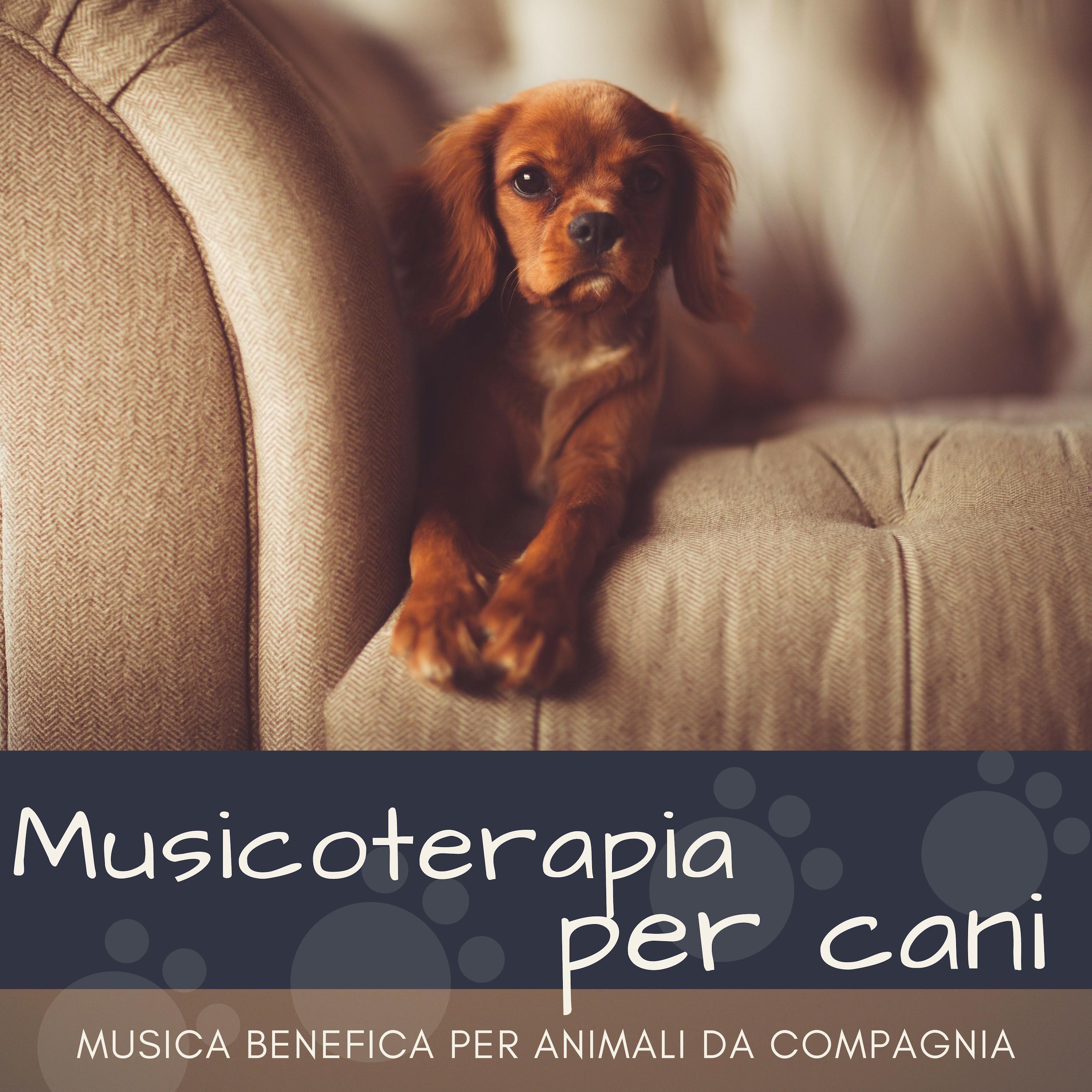 Melodia relax per Boby