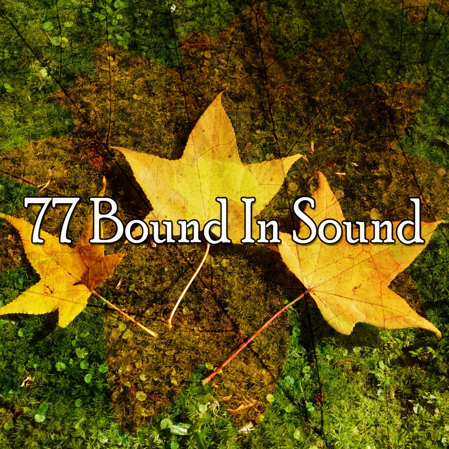 77 Bound in Sound