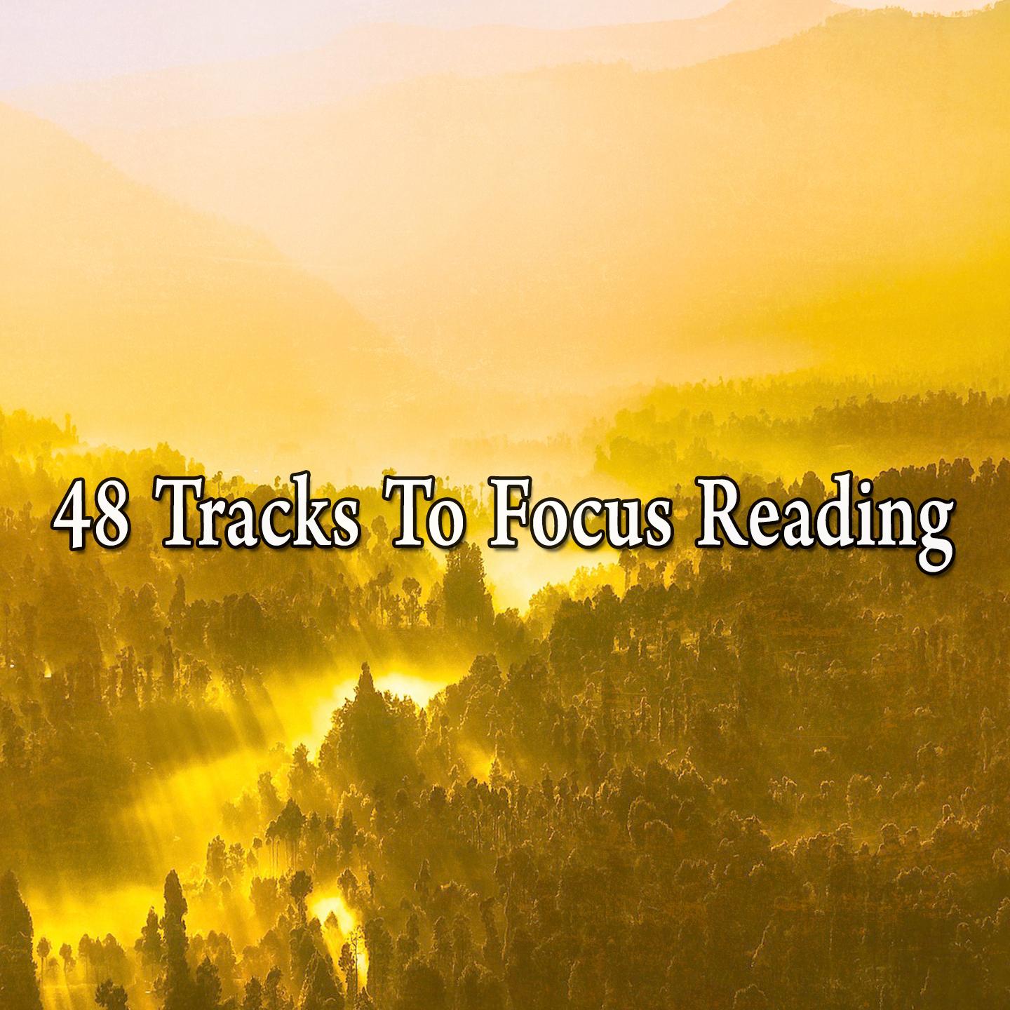 48 Tracks to Focus Reading