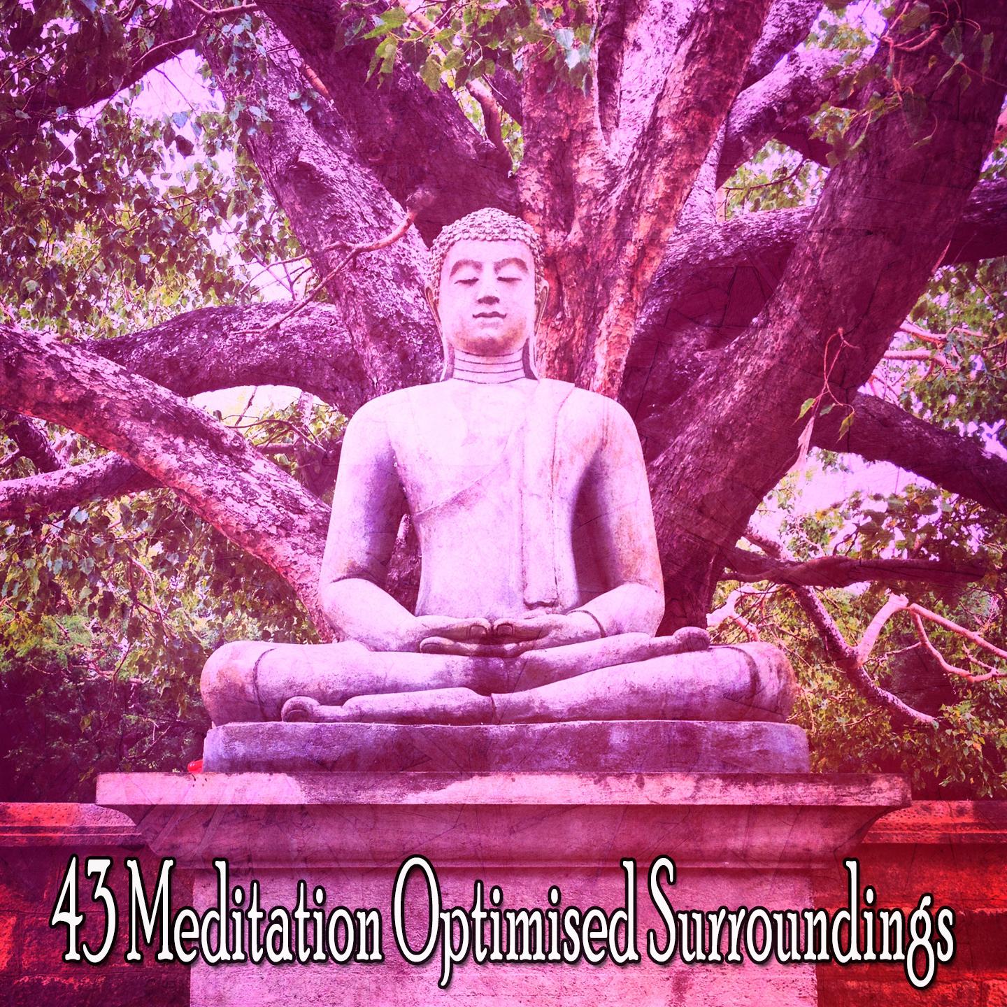 43 Meditation Optimised Surroundings