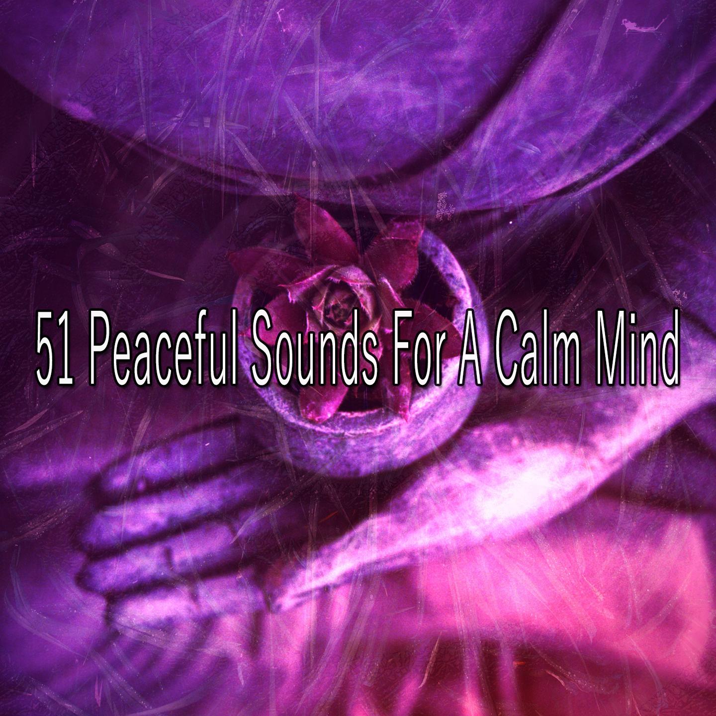 51 Peaceful Sounds for a Calm Mind