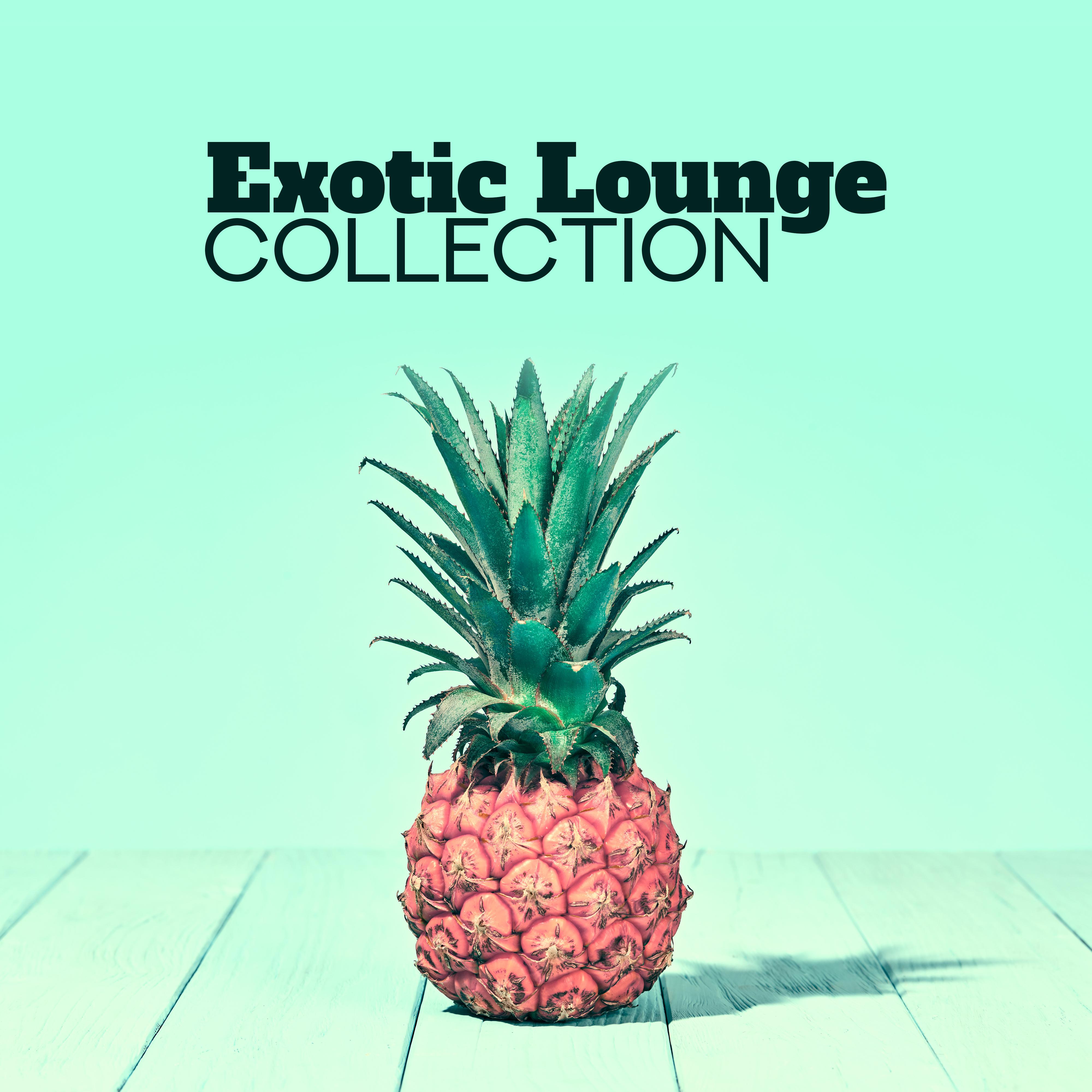 Exotic Lounge Collection – Beach Chillout, Ibiza Relaxation, Calm Down, Ibiza Lounge, Summer Music, Beach Party Vibrations, Tropical Music
