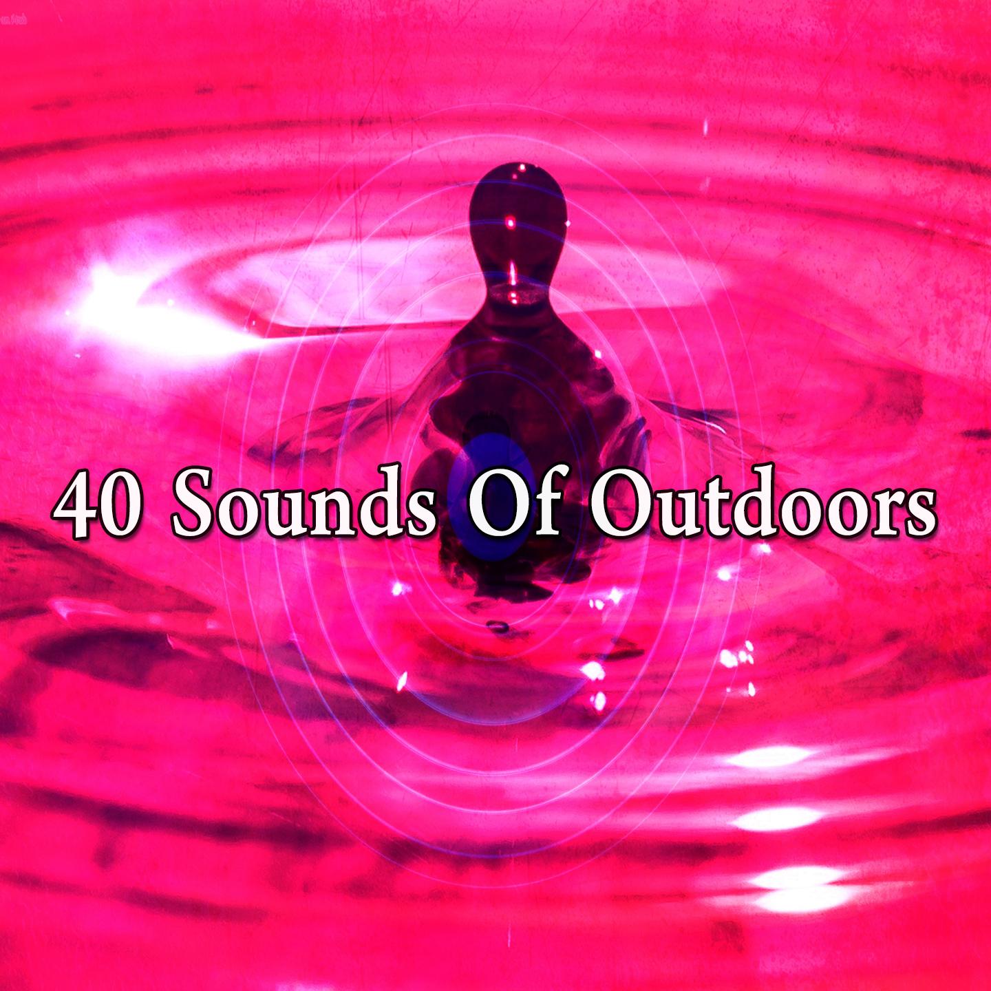 40 Sounds of Outdoors