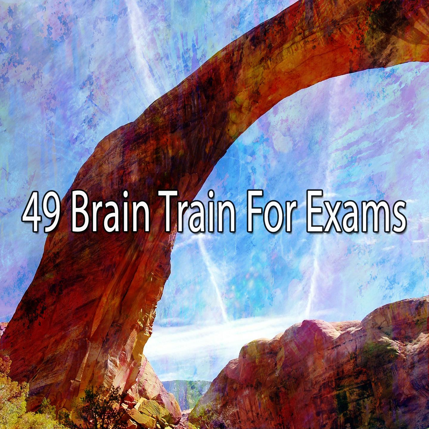 49 Brain Train for Exams