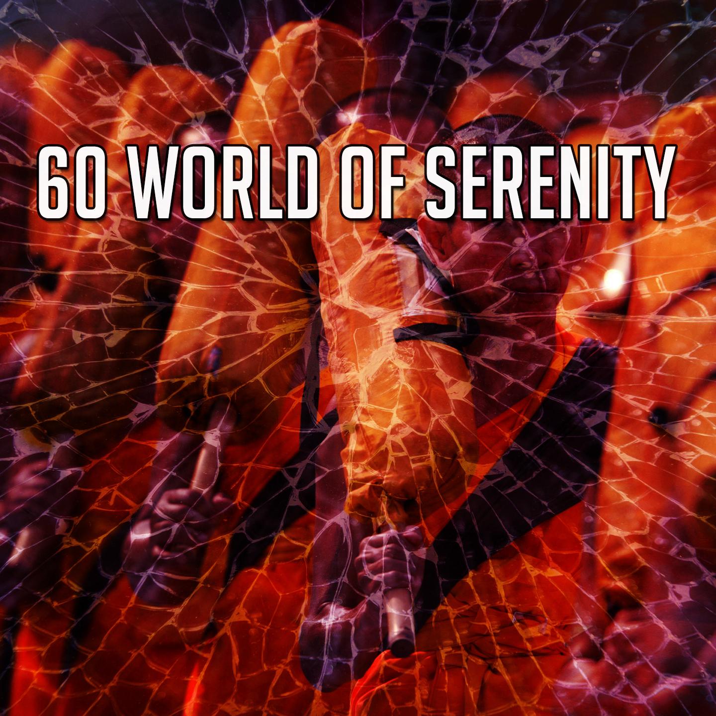 60 World of Serenity