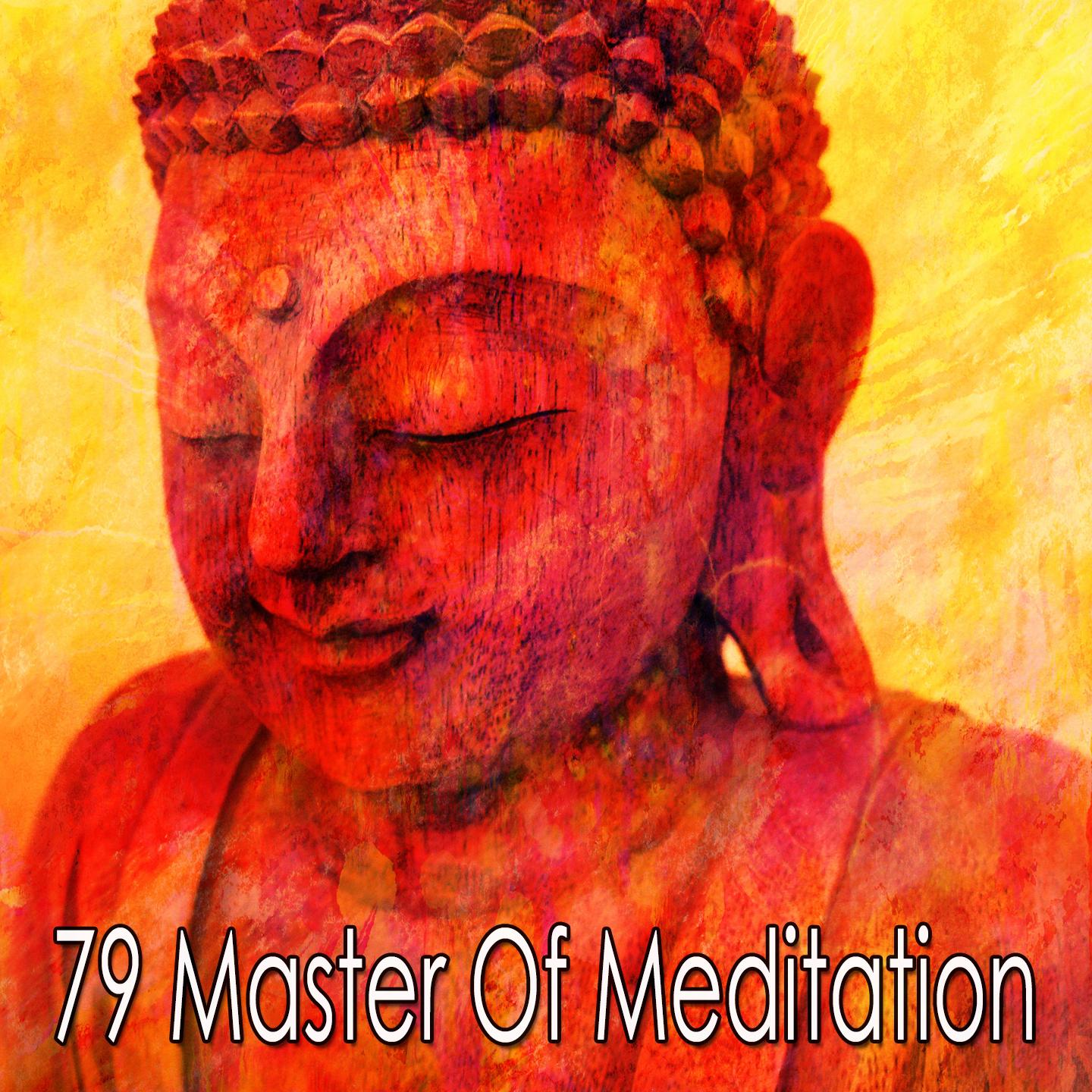79 Master of Meditation