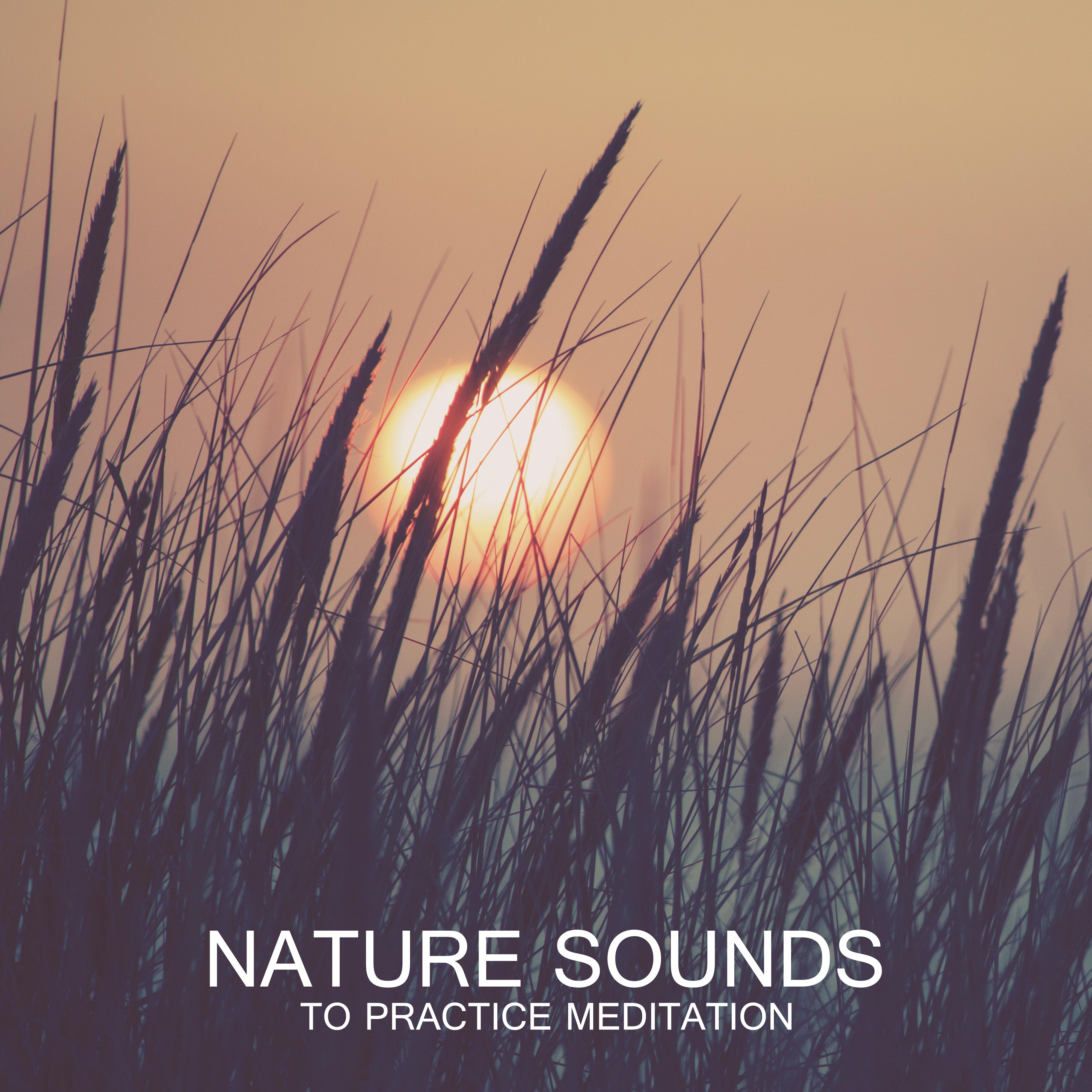Nature Sounds to Practice Meditation – Yoga Music for Relaxation, Reiki, Zen Serenity, Healing Music, Spiritual Awakening, Sounds of Nature, Deep Meditation