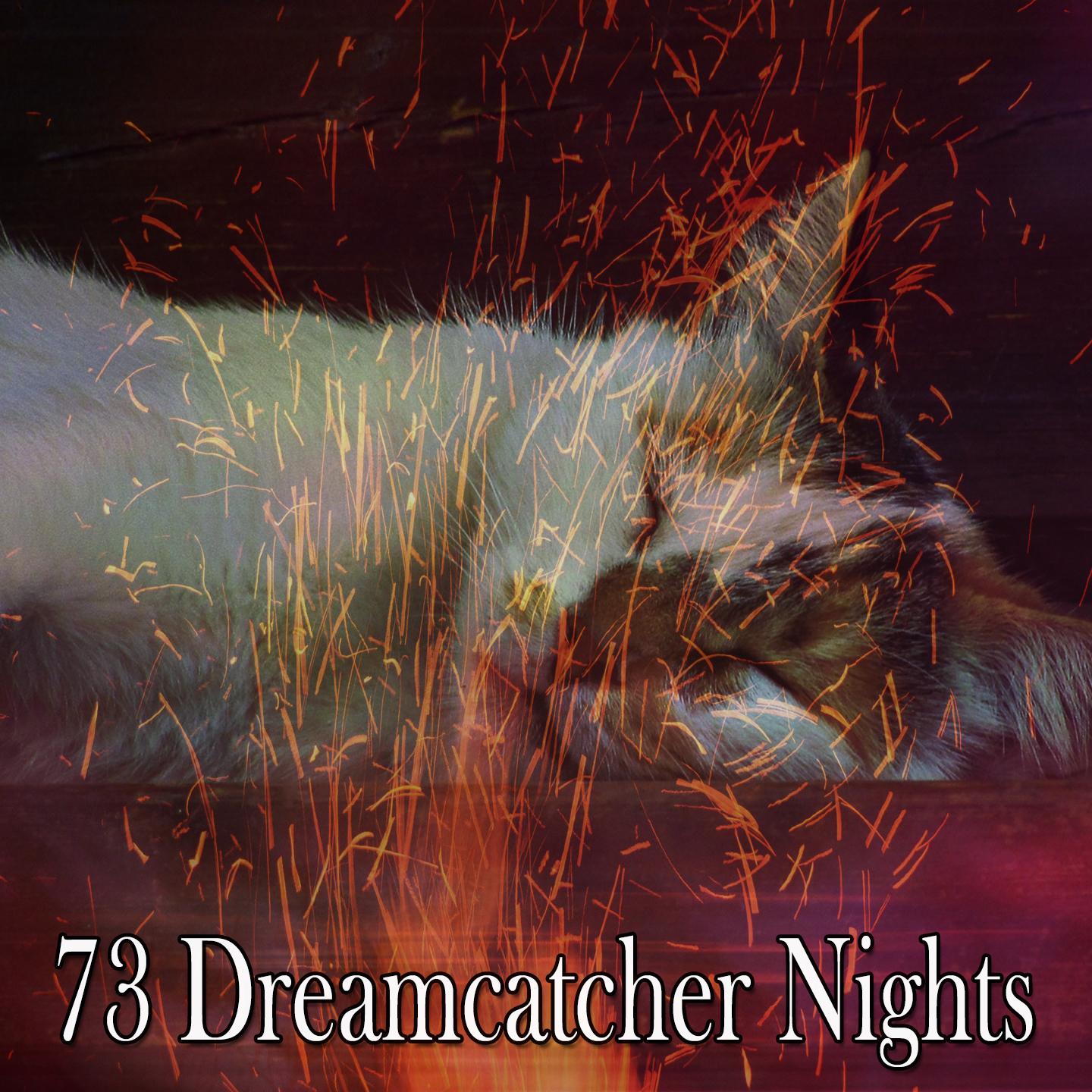 73 Dreamcatcher Nights