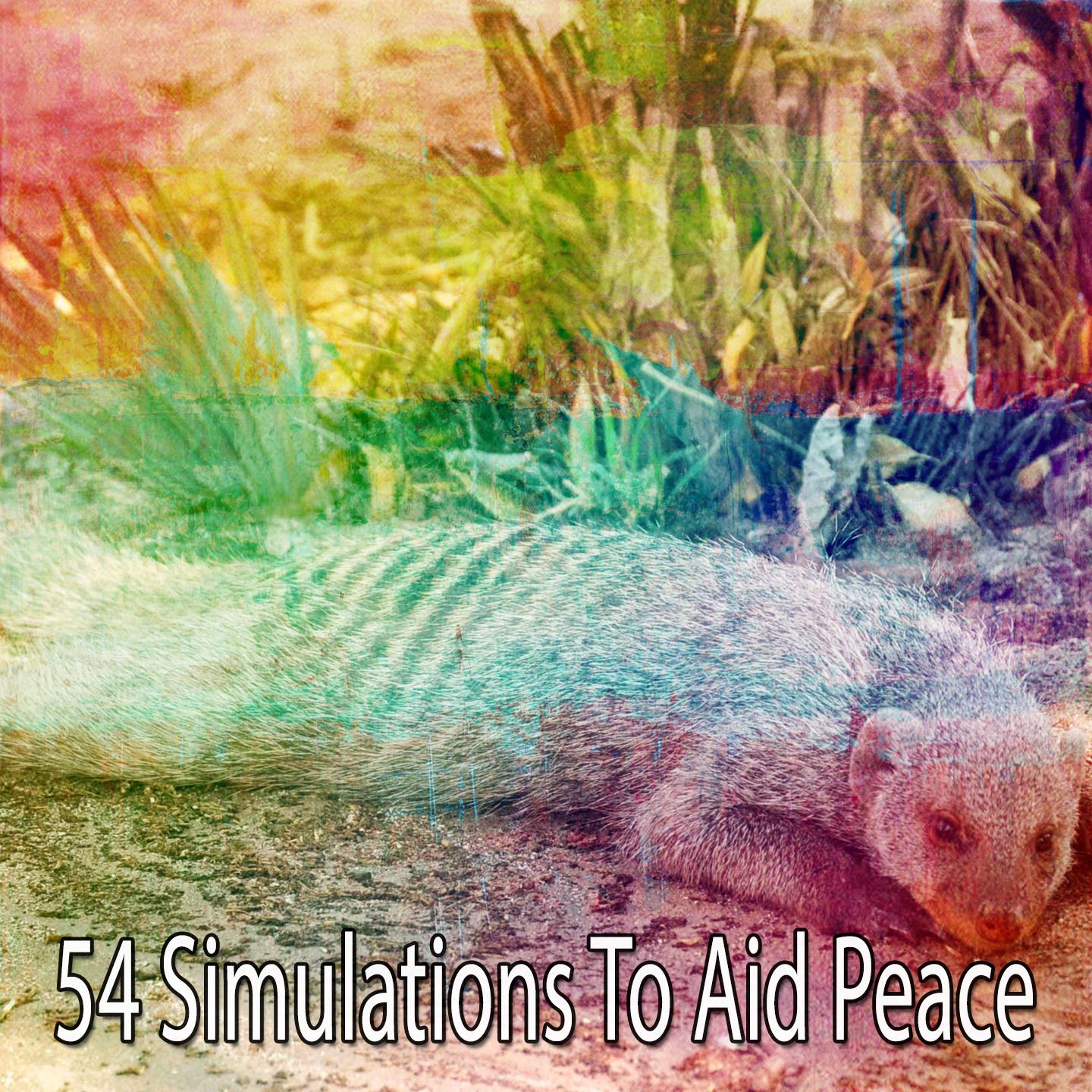 54 Simulations to Aid Peace