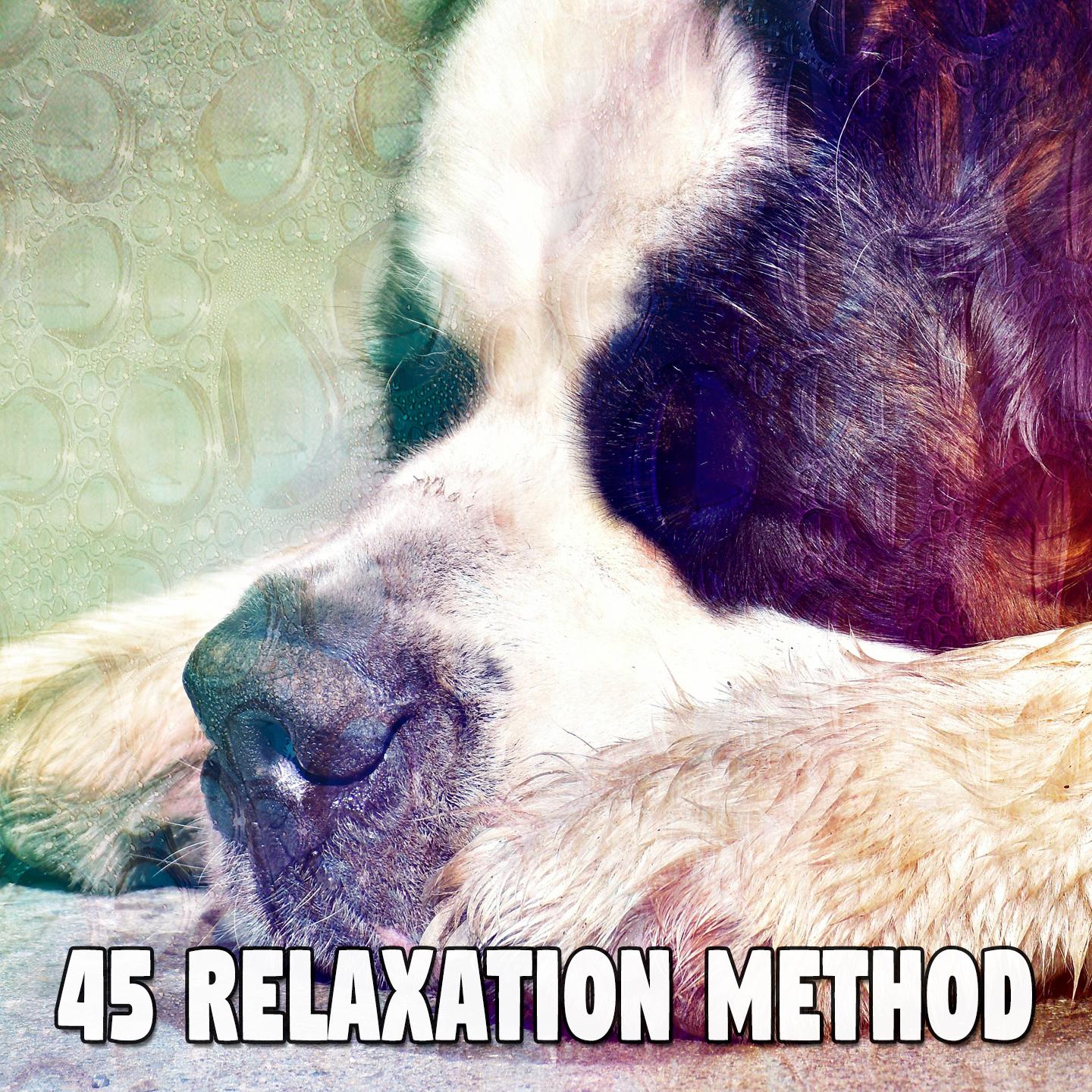 45 Relaxation Method