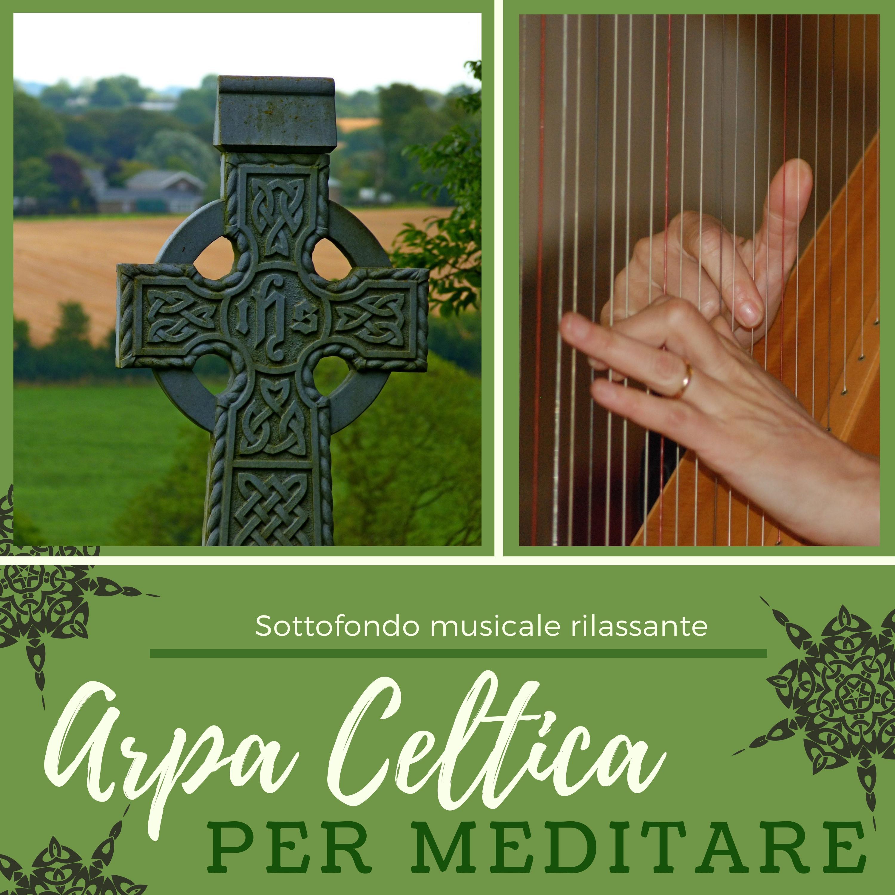 Arpa per riflettere