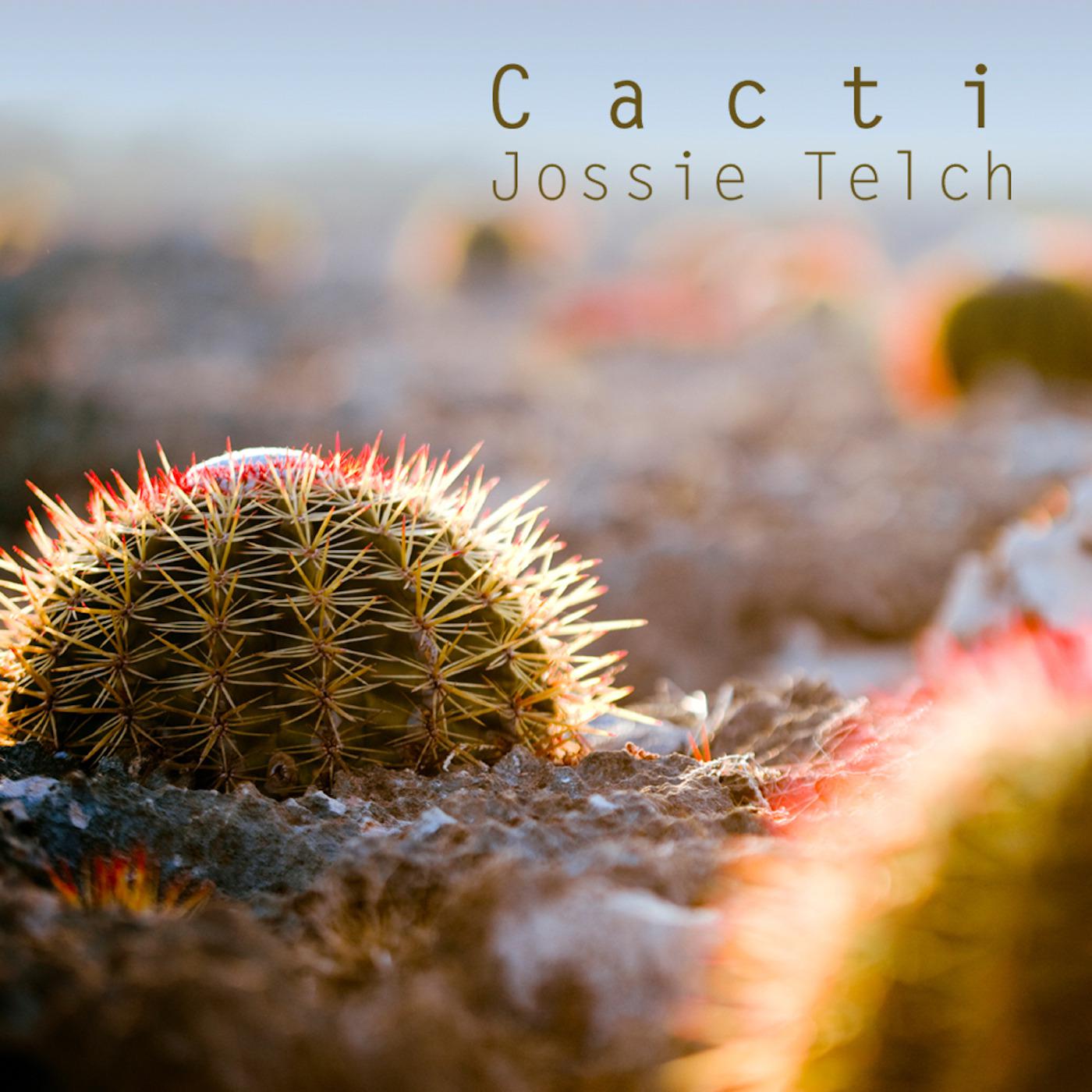 Cacti