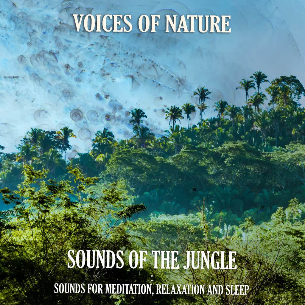 Sounds of the Jungle : Birds and Sky Frogs in the Light Breeze