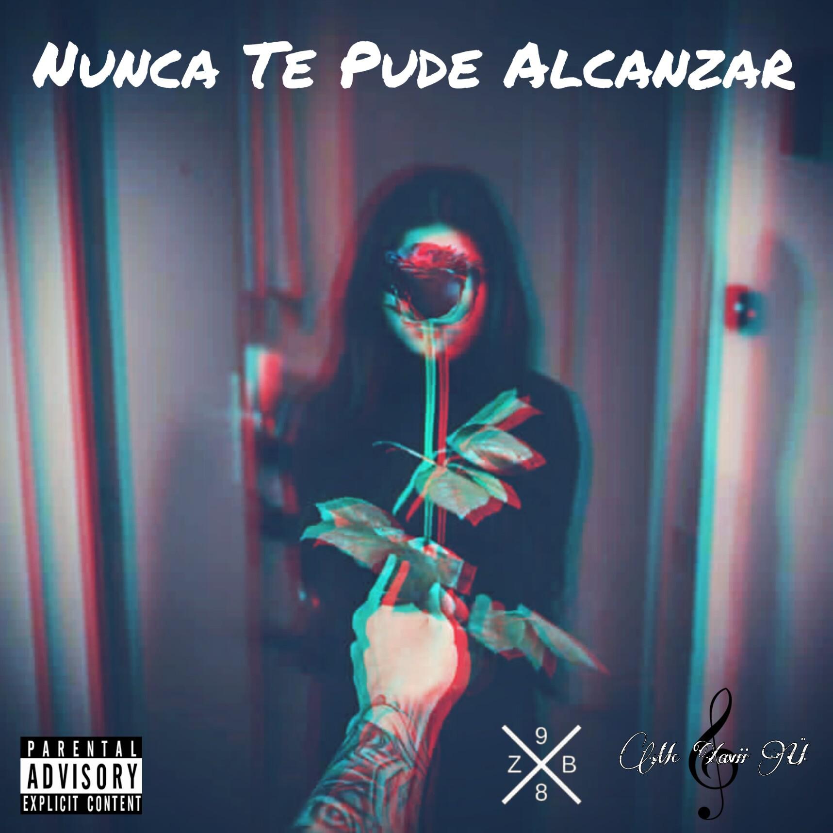 Nunca Te Pude Alcanzar