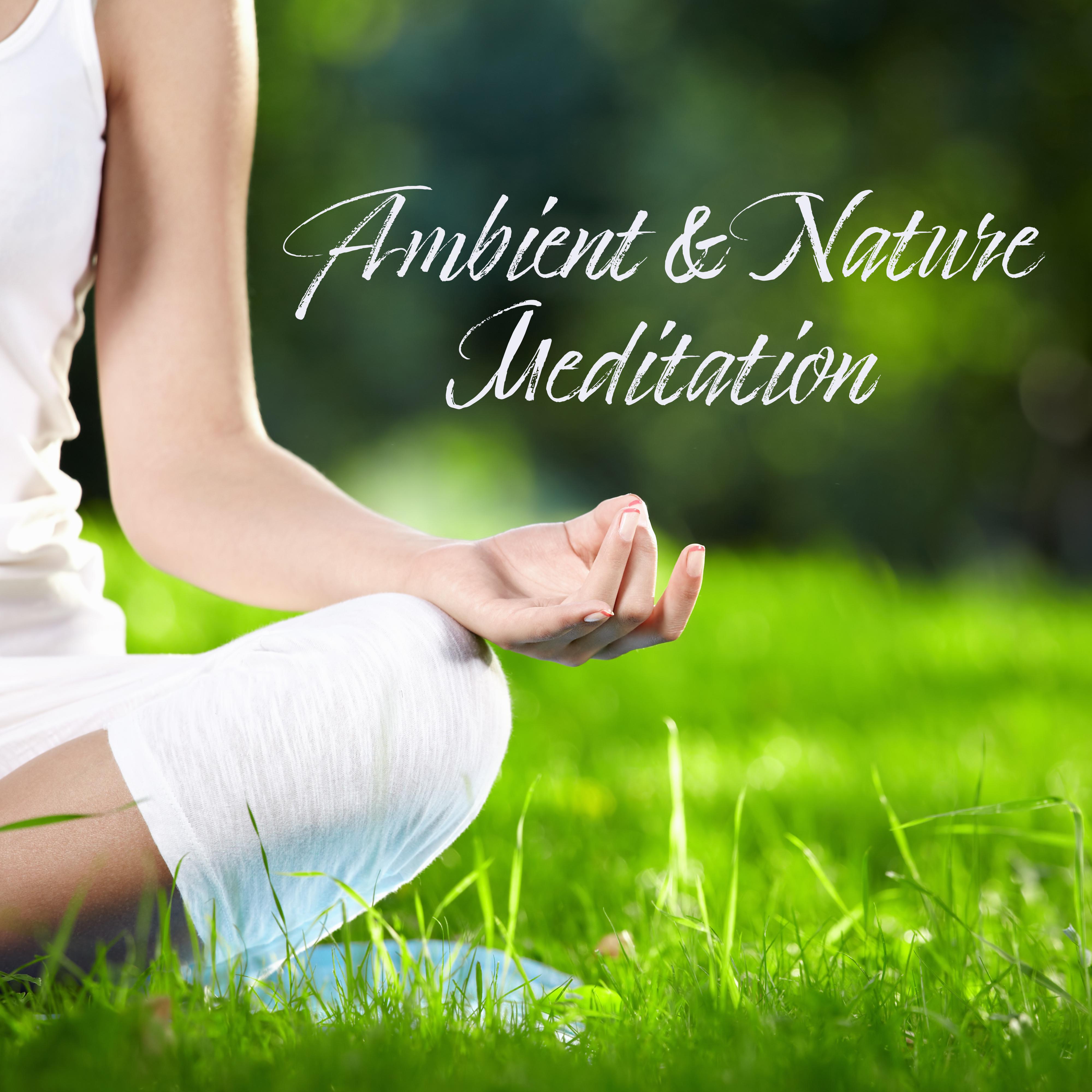 Ambient & Nature Meditation: 2019 New Age Yoga & Relaxation Music with Deep & Nature Sounds, Healing Songs, Inner Bliss