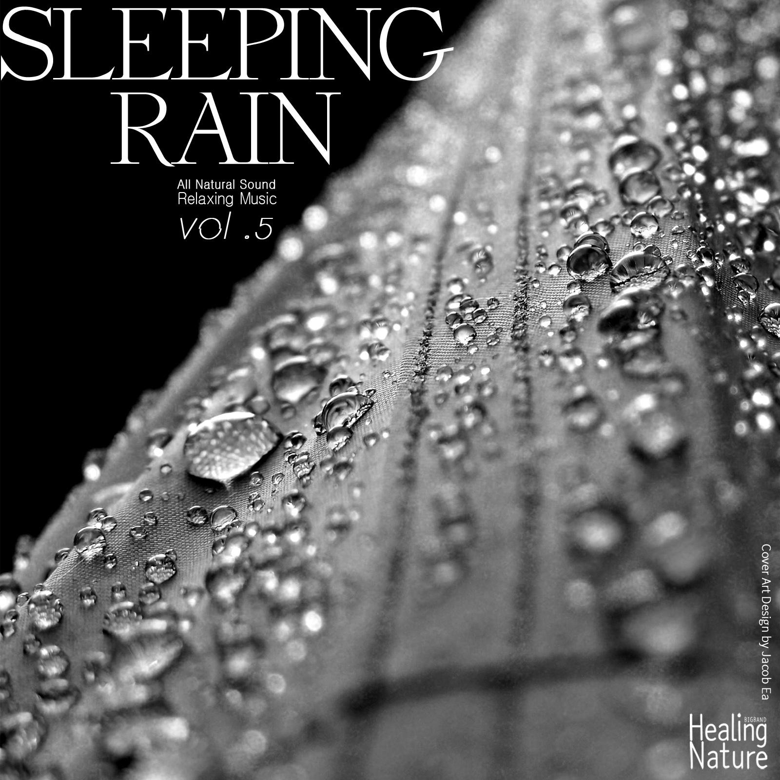 Sleeping Rain, Vol. 5