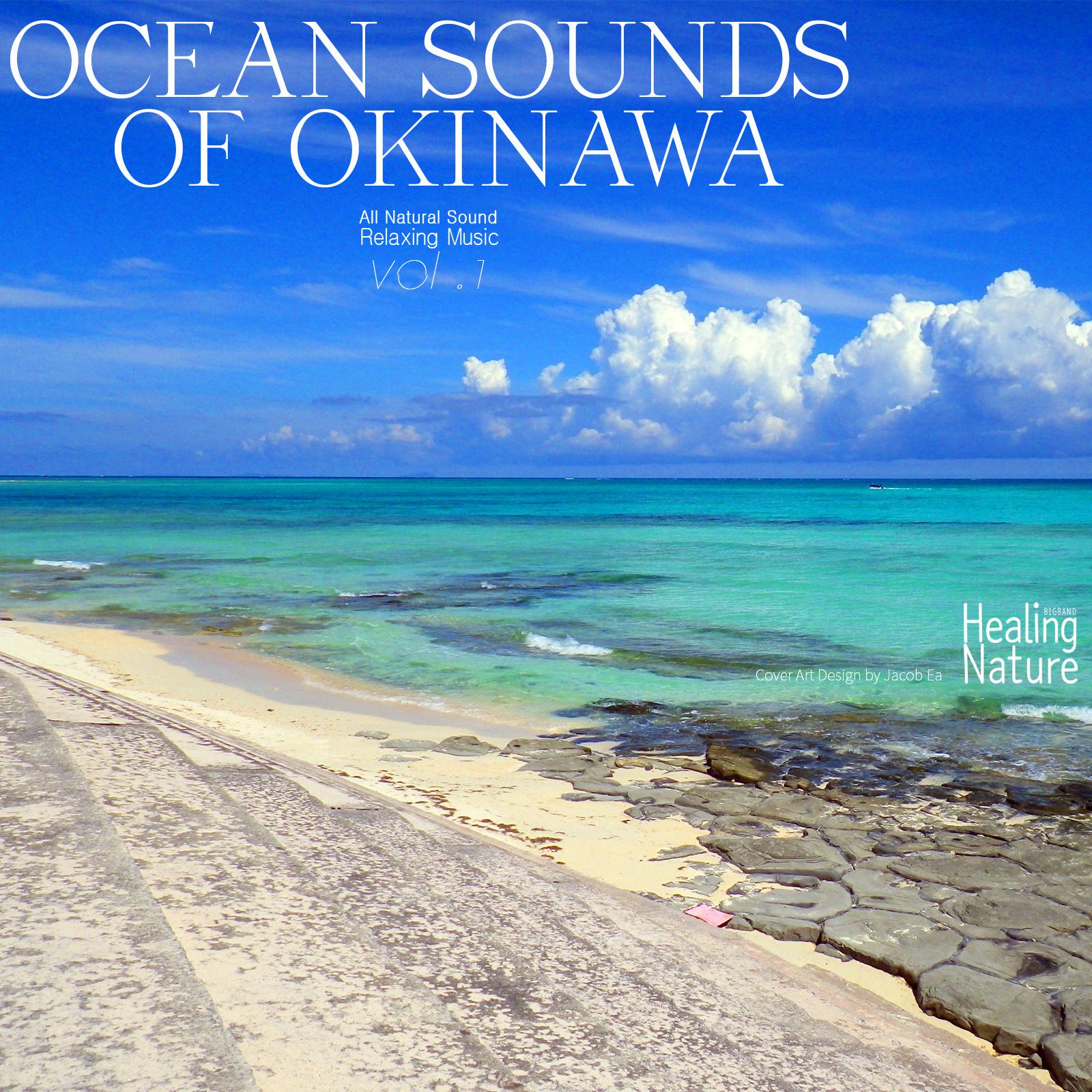 Ocean Sounds of Okinawa, Vol. 1