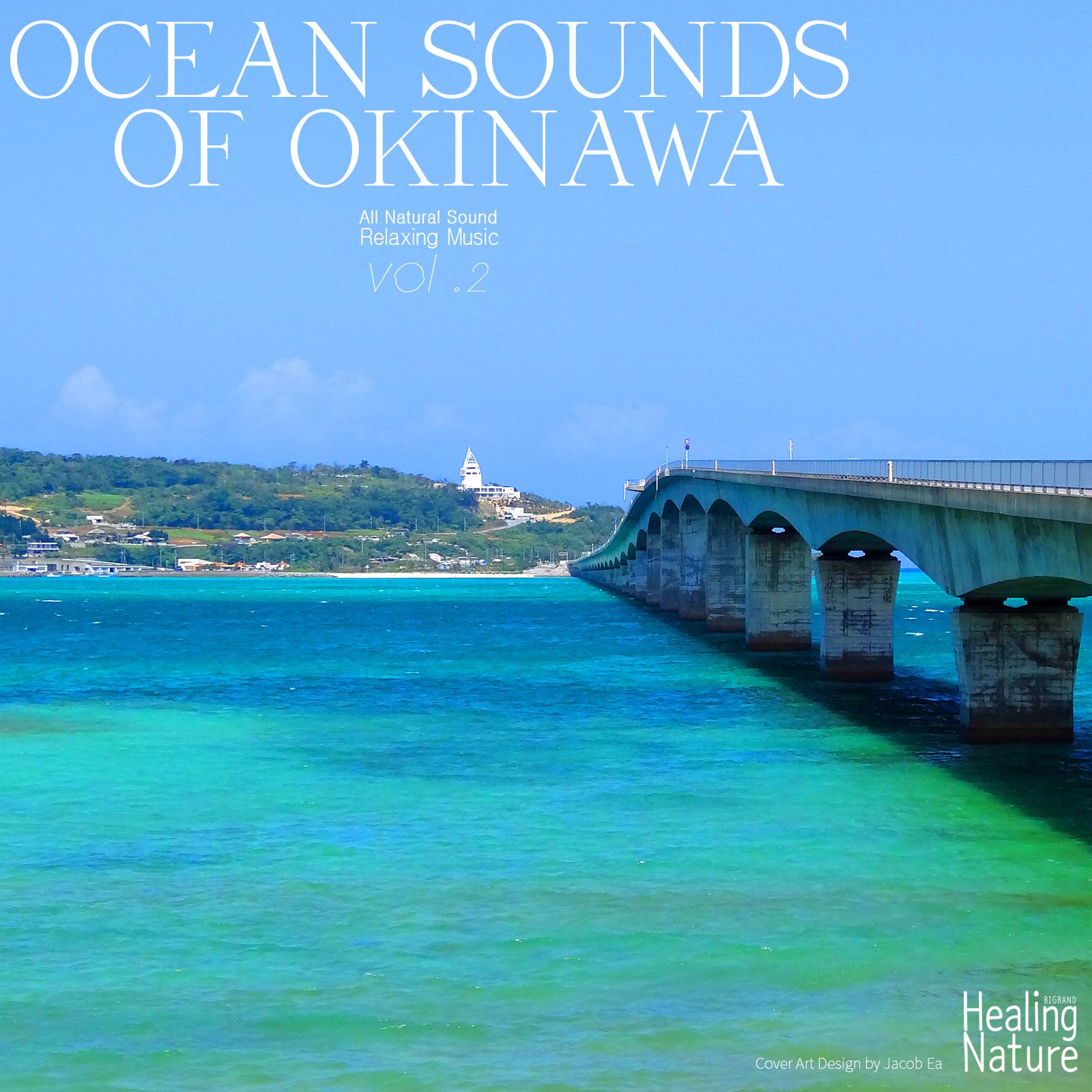 Ocean Sounds of Okinawa, Vol. 2