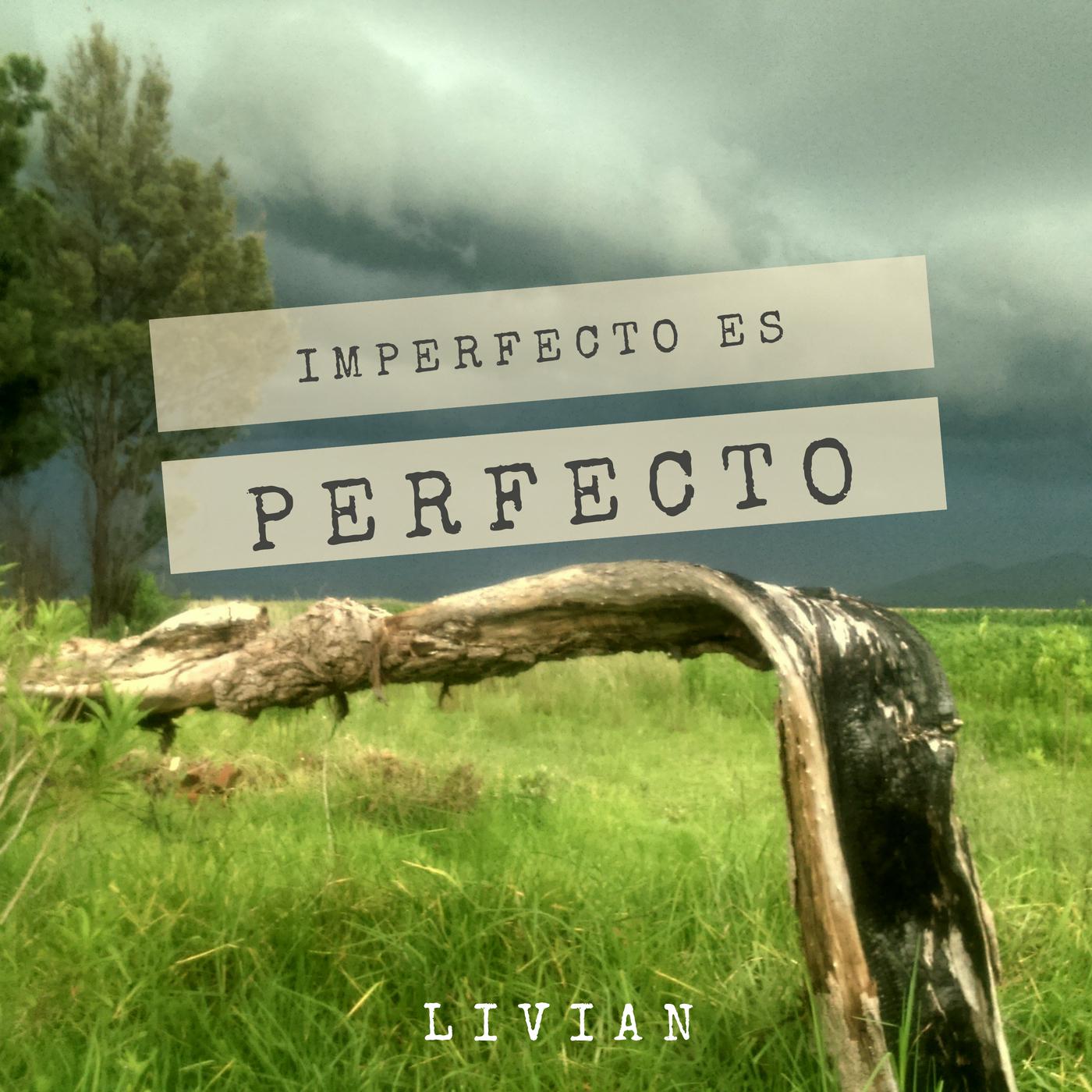 Imperfecto Es Perfecto