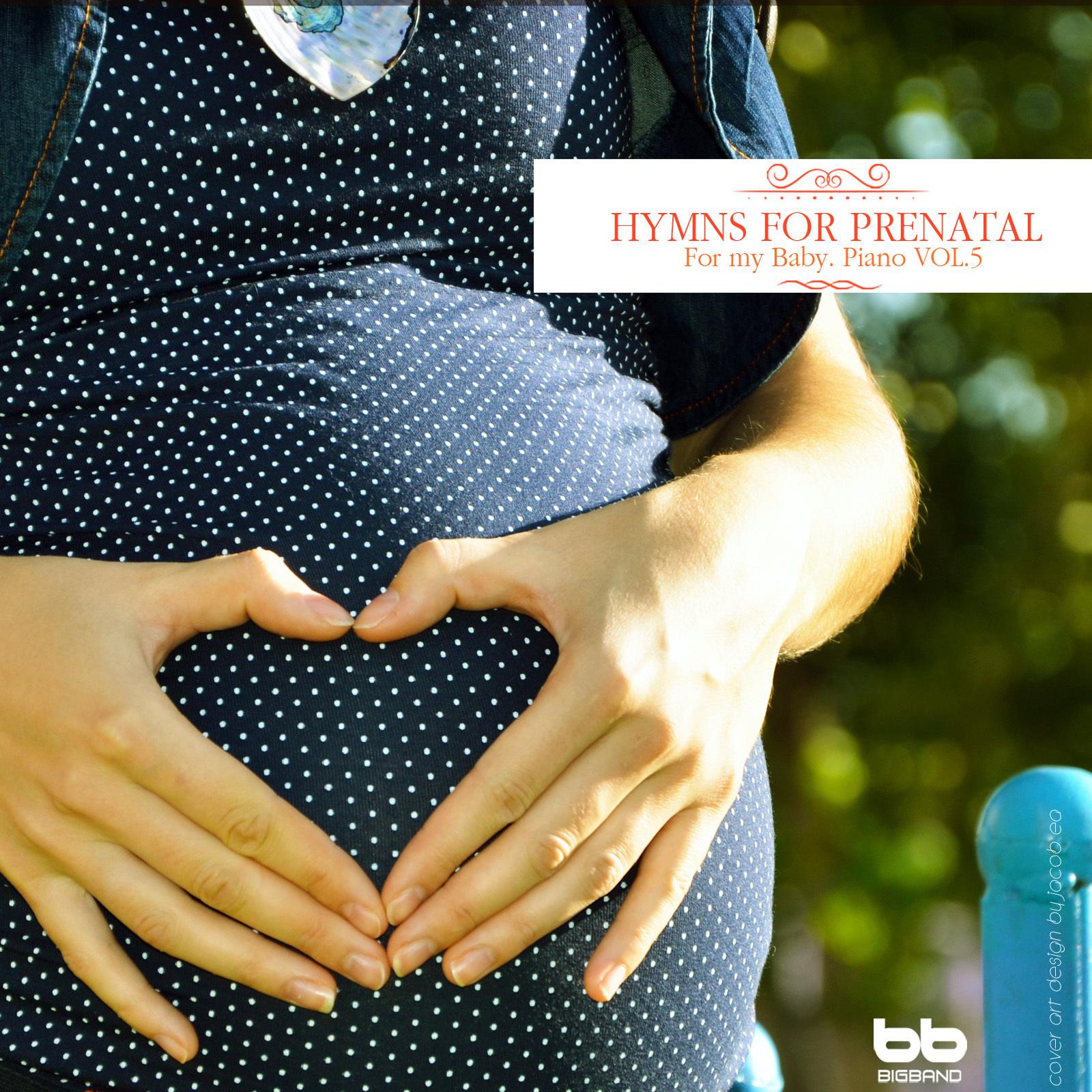 Hymns for Prenatal for my Baby Piano, Vol. 5