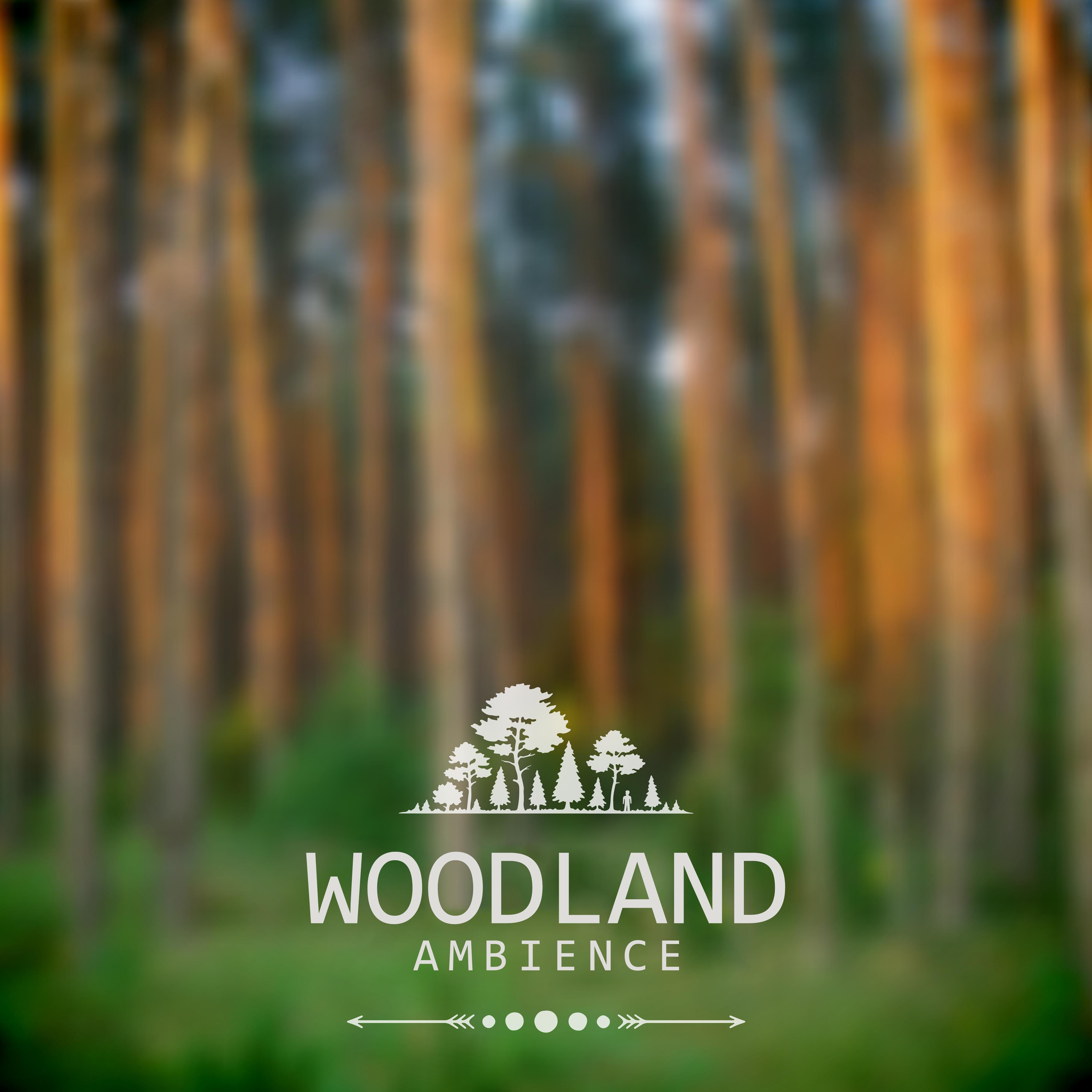 Woodland Ambience – Relaxing Sounds of Nature, Singing Forest Birds, Music for Moments of Relaxation and Rest, Gentle Piano Melodies in the Background of Nature
