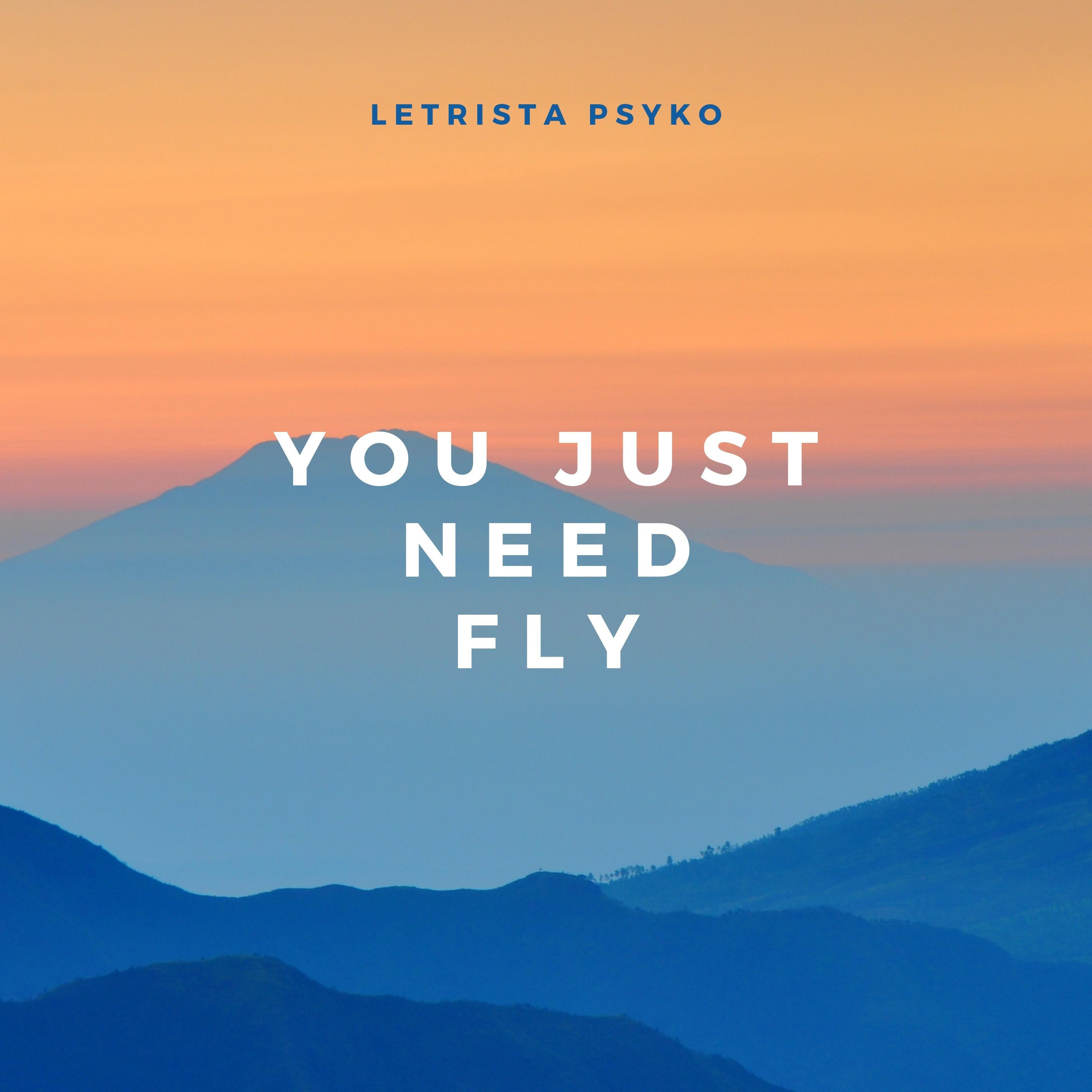 You Just Need Fly