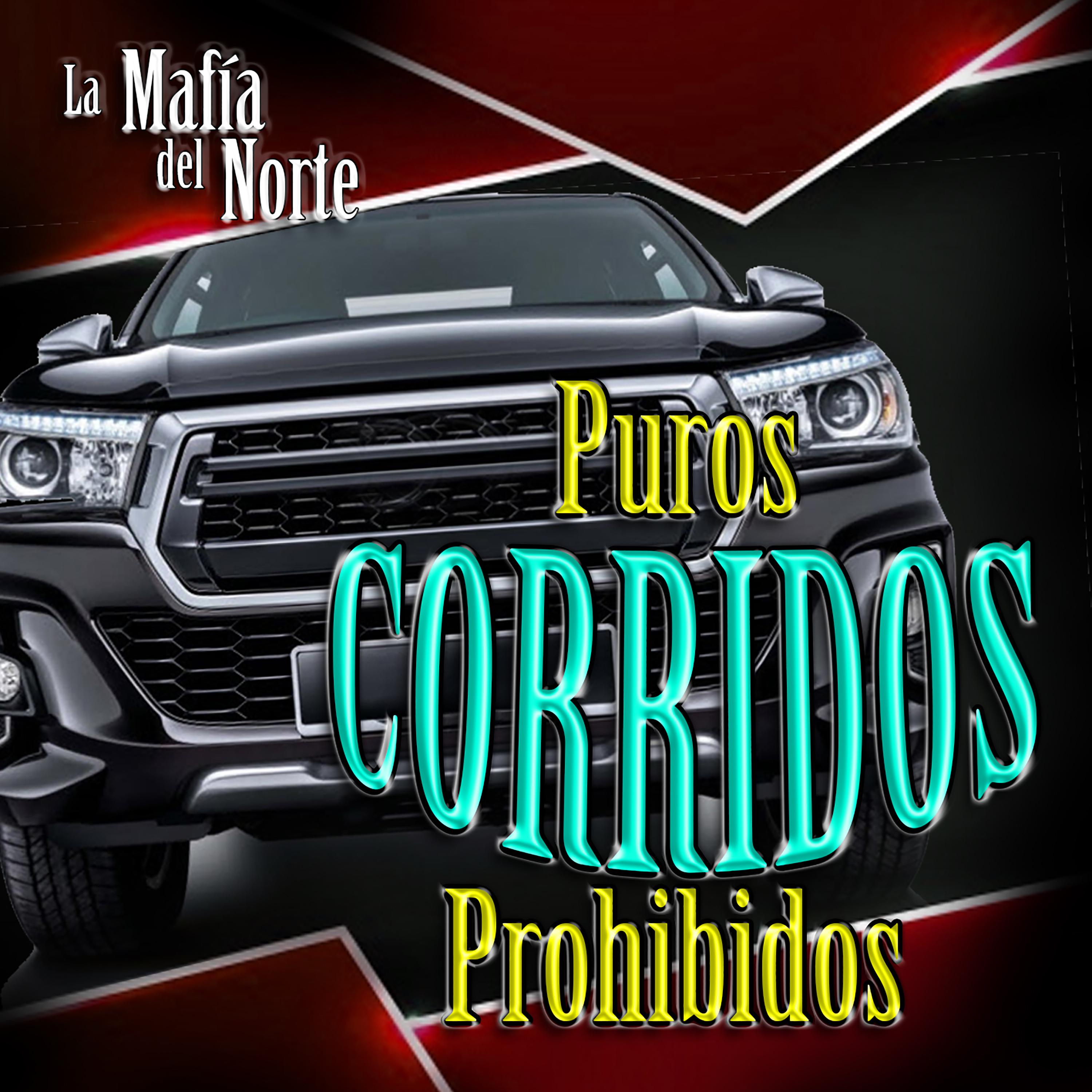 Puros Corridos Prohibidos, Vol. 2