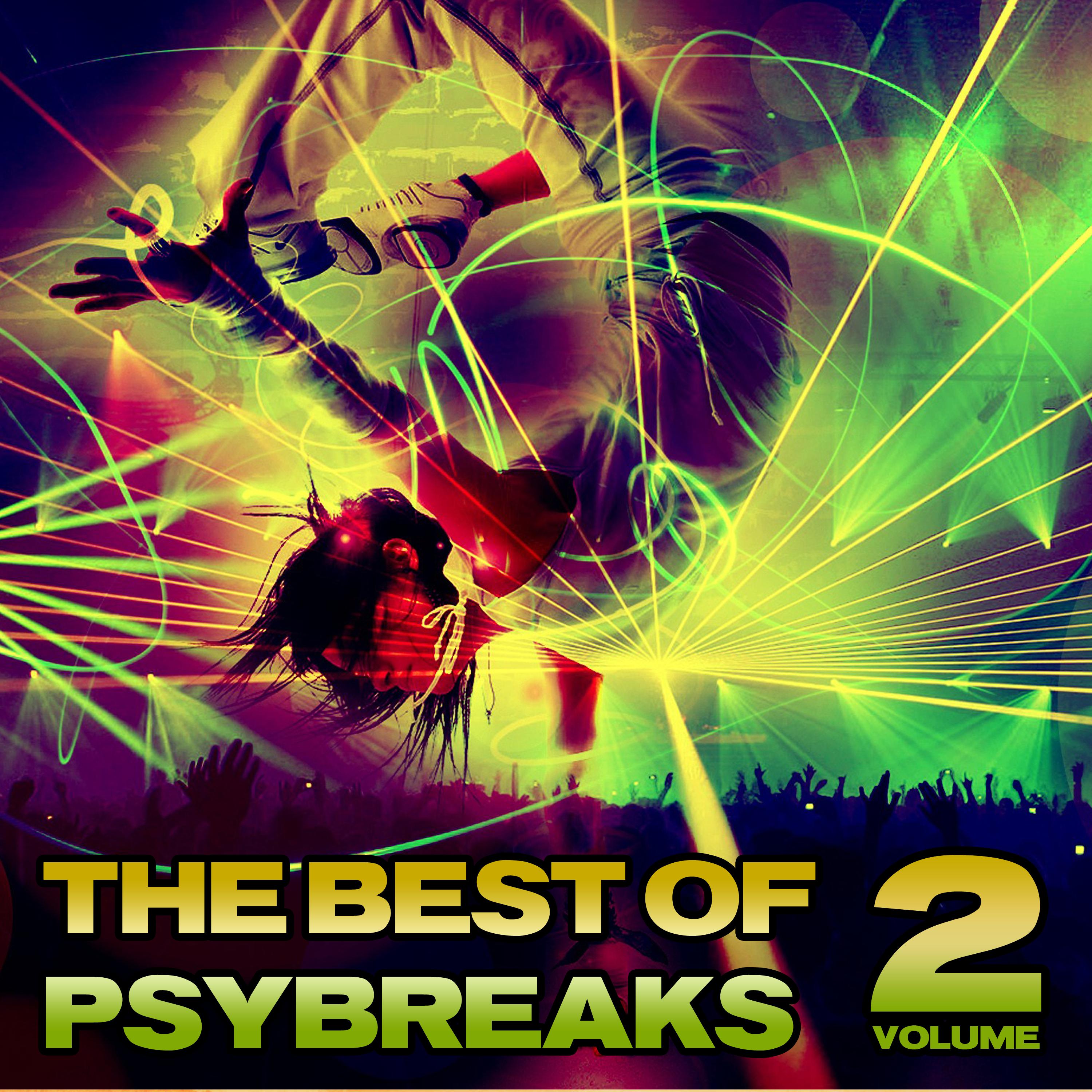 The Best of Psybreaks, Vol. 2